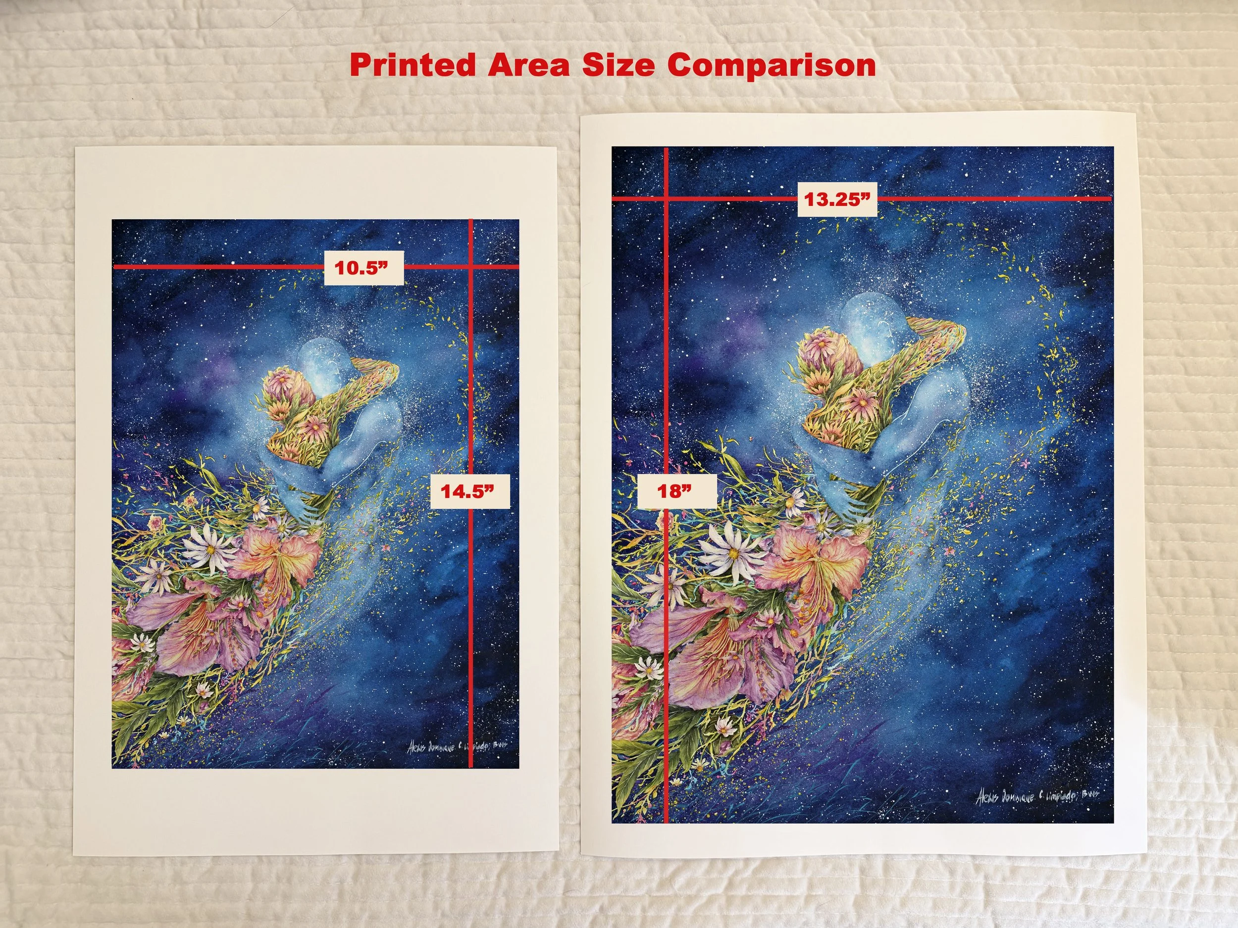 emphemeral size comparison.jpg