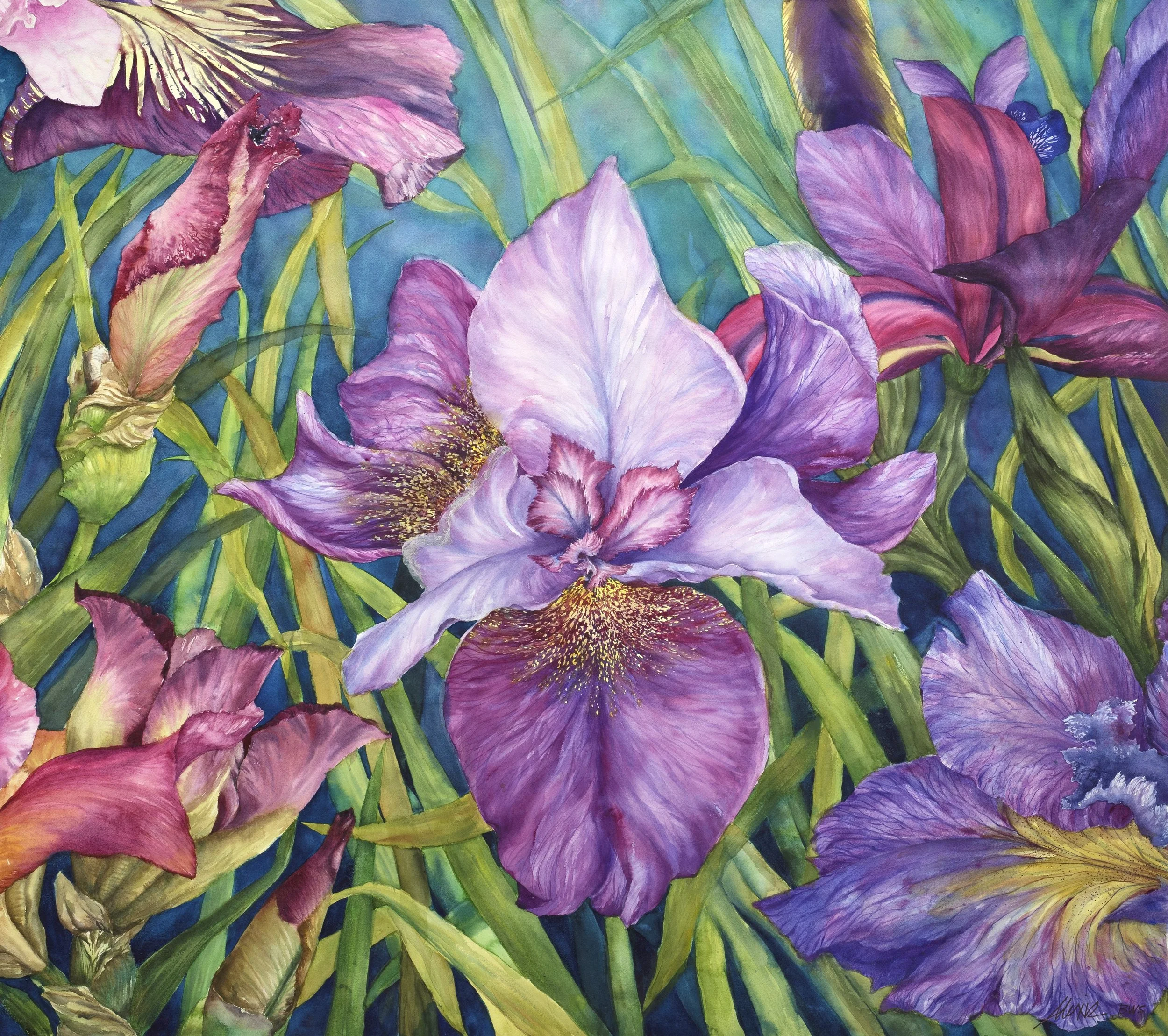 iris daydream_bright.jpg