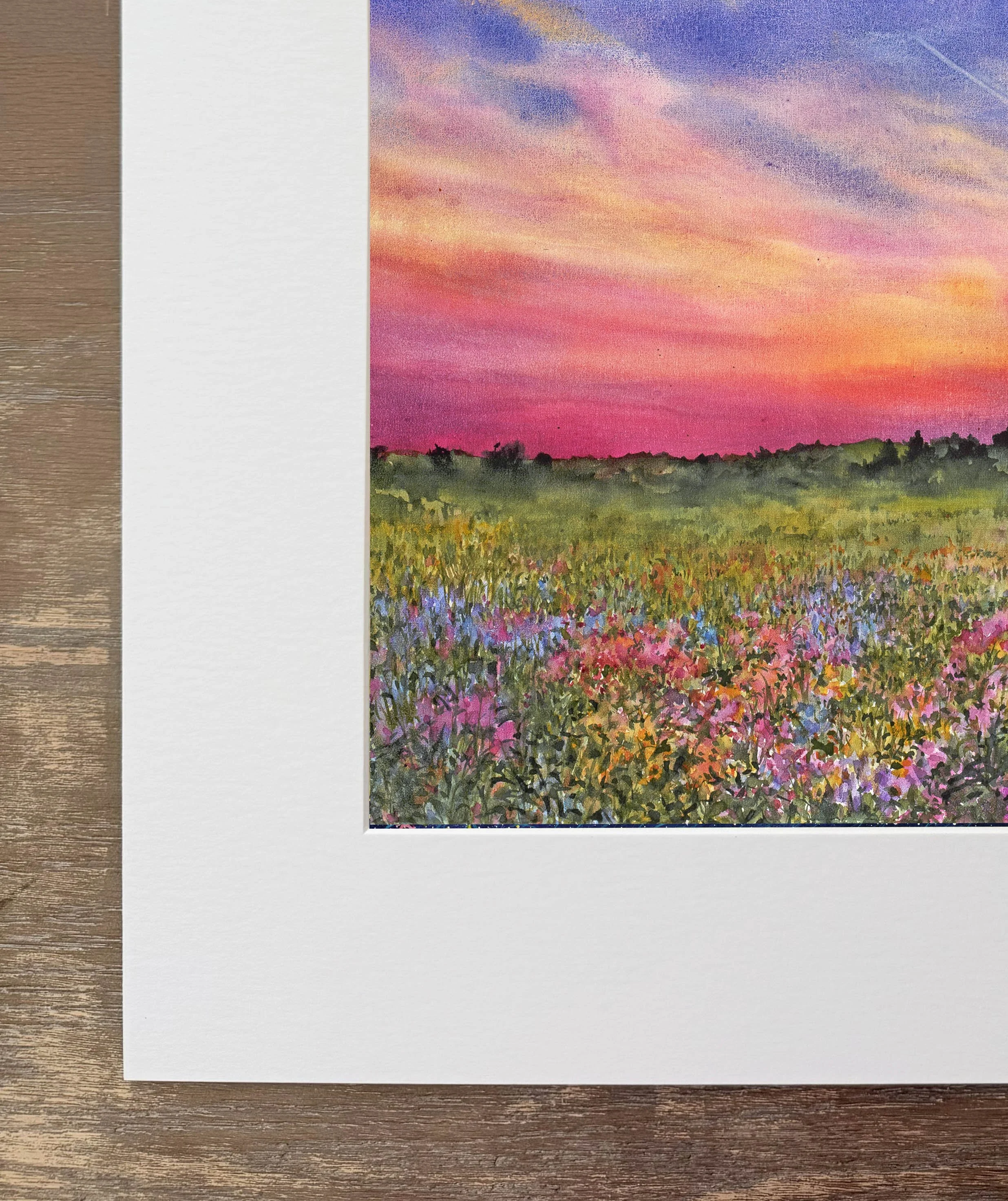 blooms & contrails 1.jpg