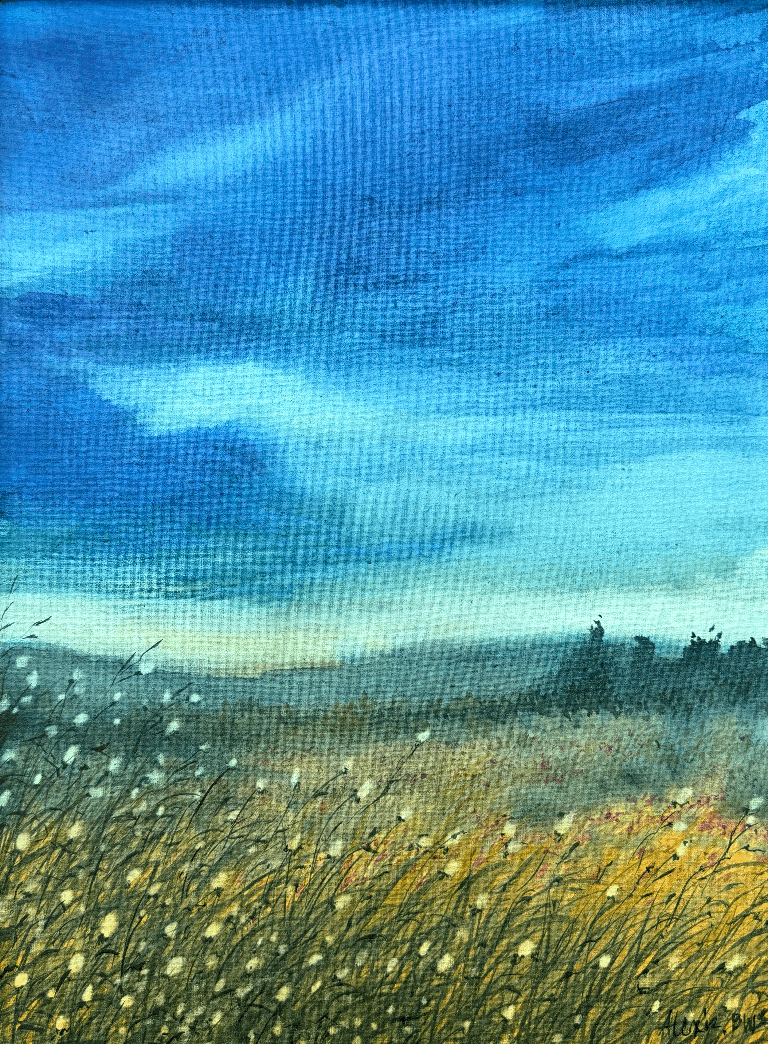 Moody Meadow