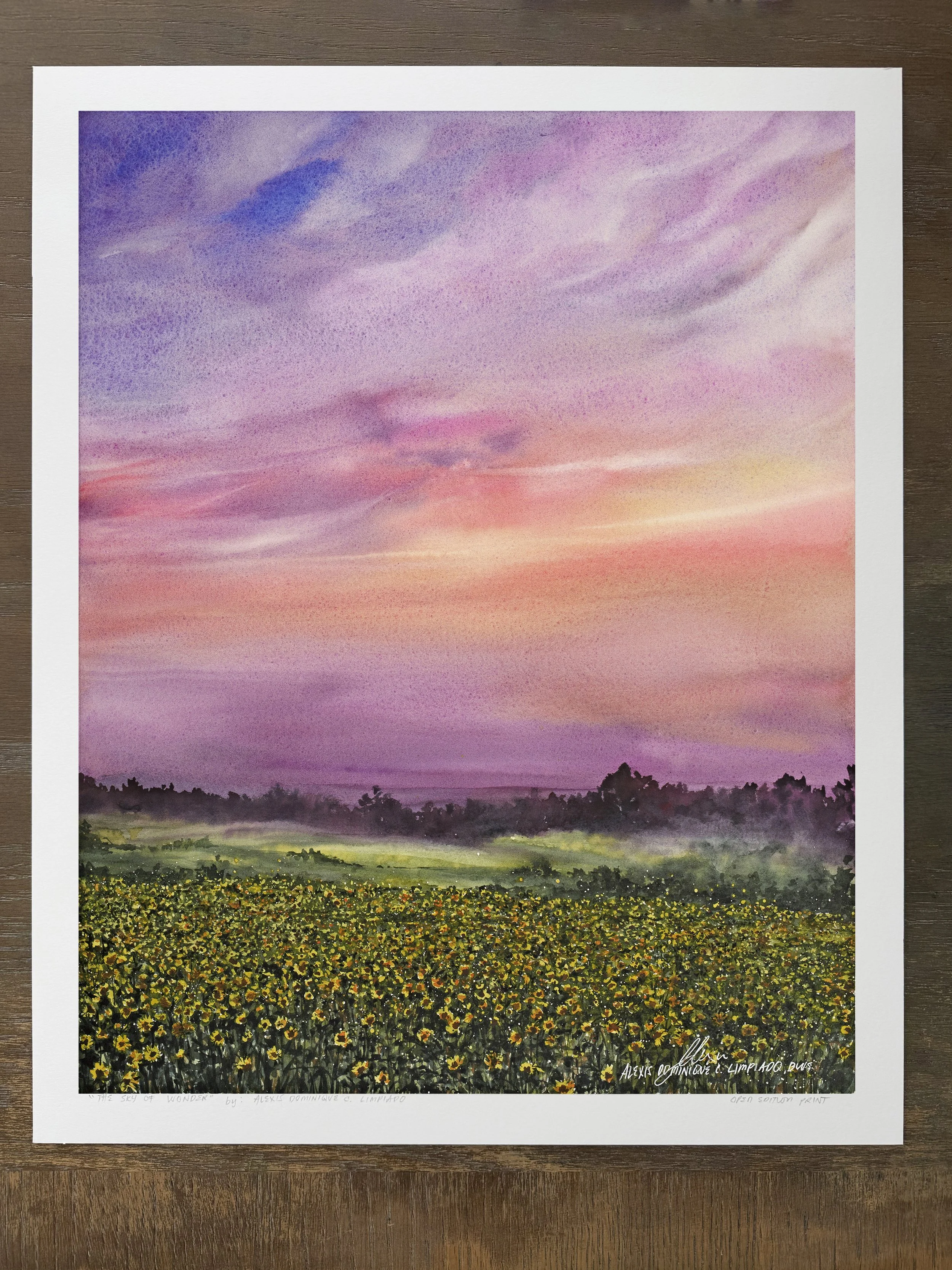sky of wonder 1.jpg