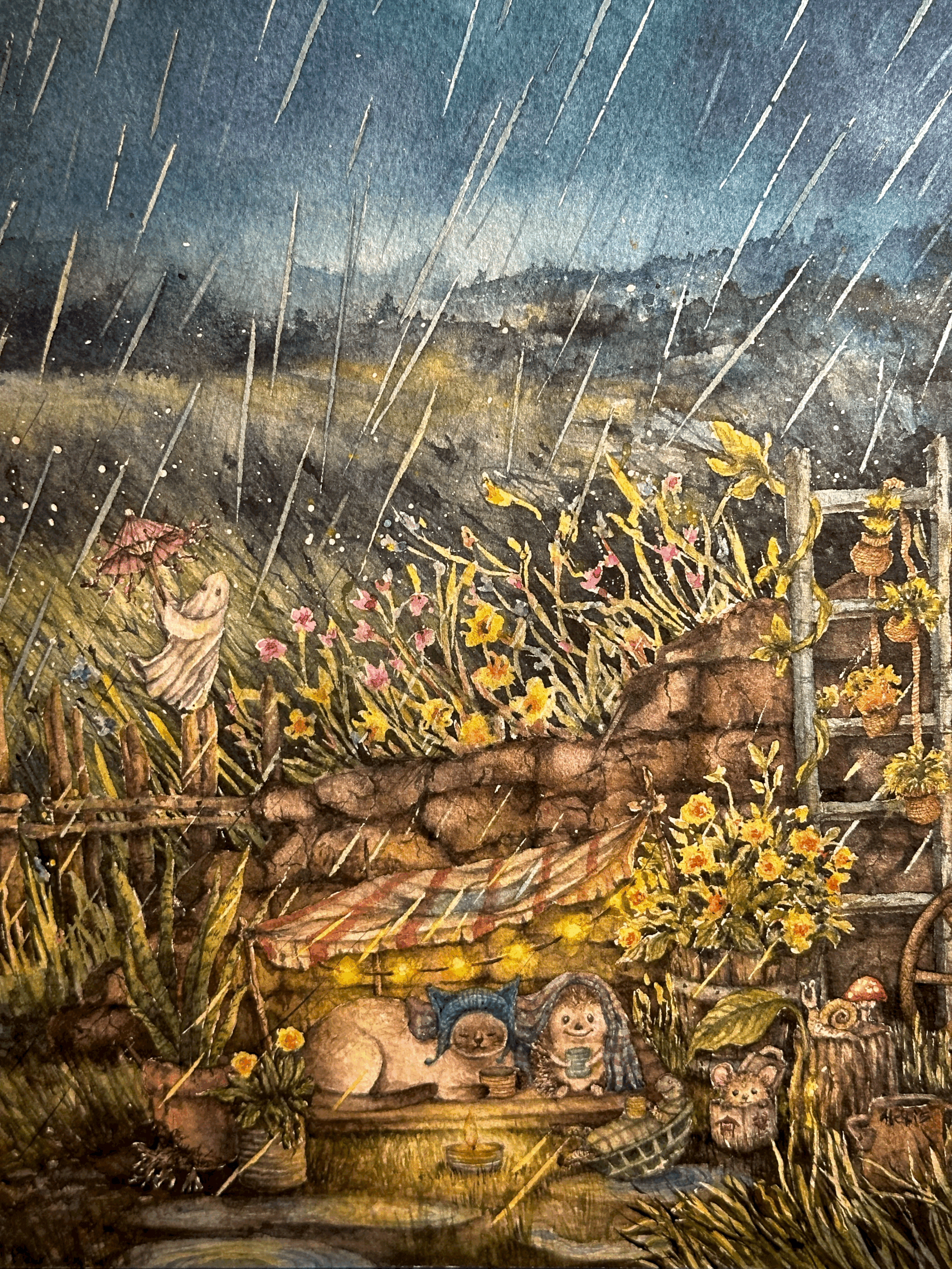 harper in the rain.JPG