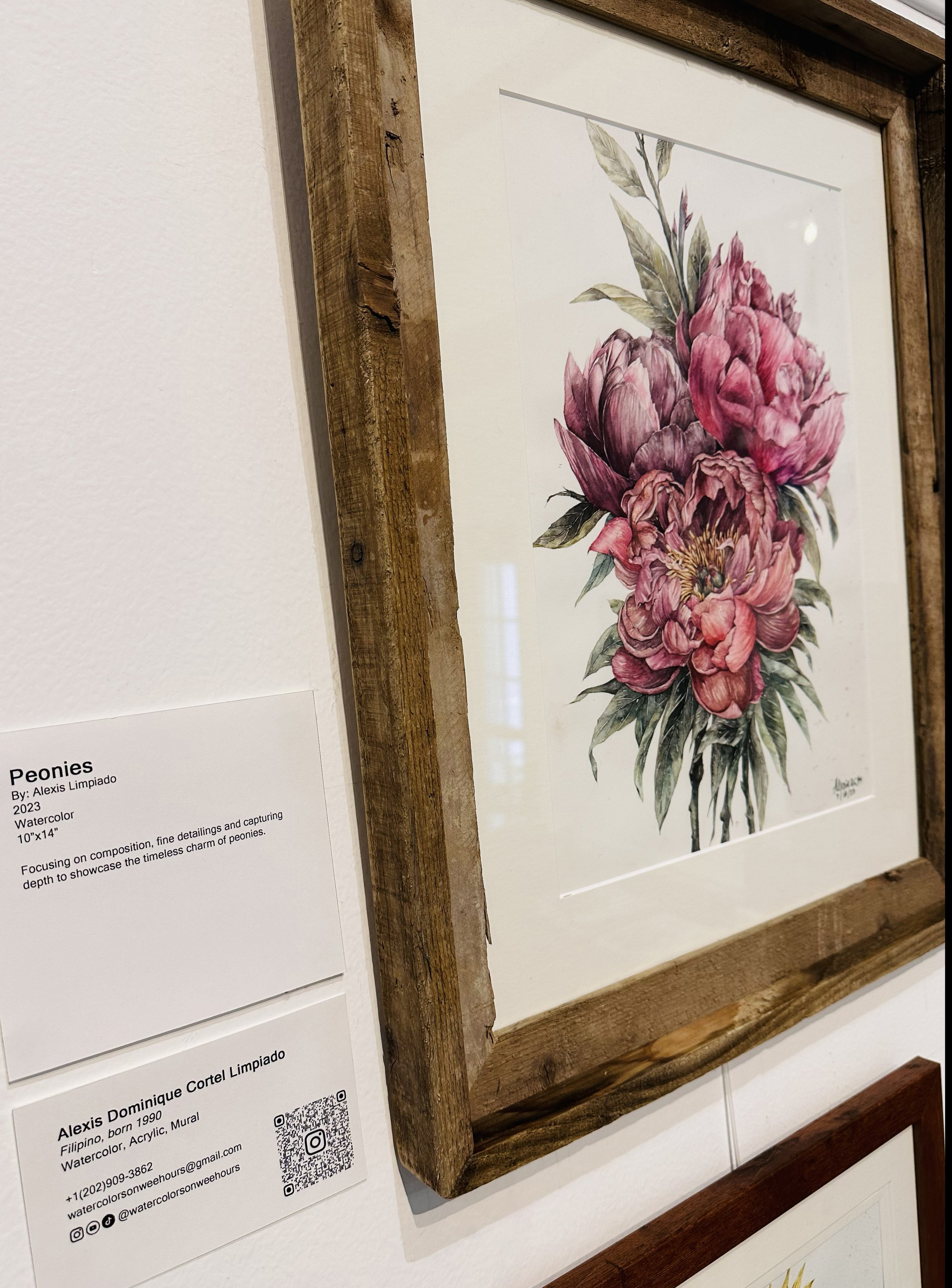 gallery 6.jpg