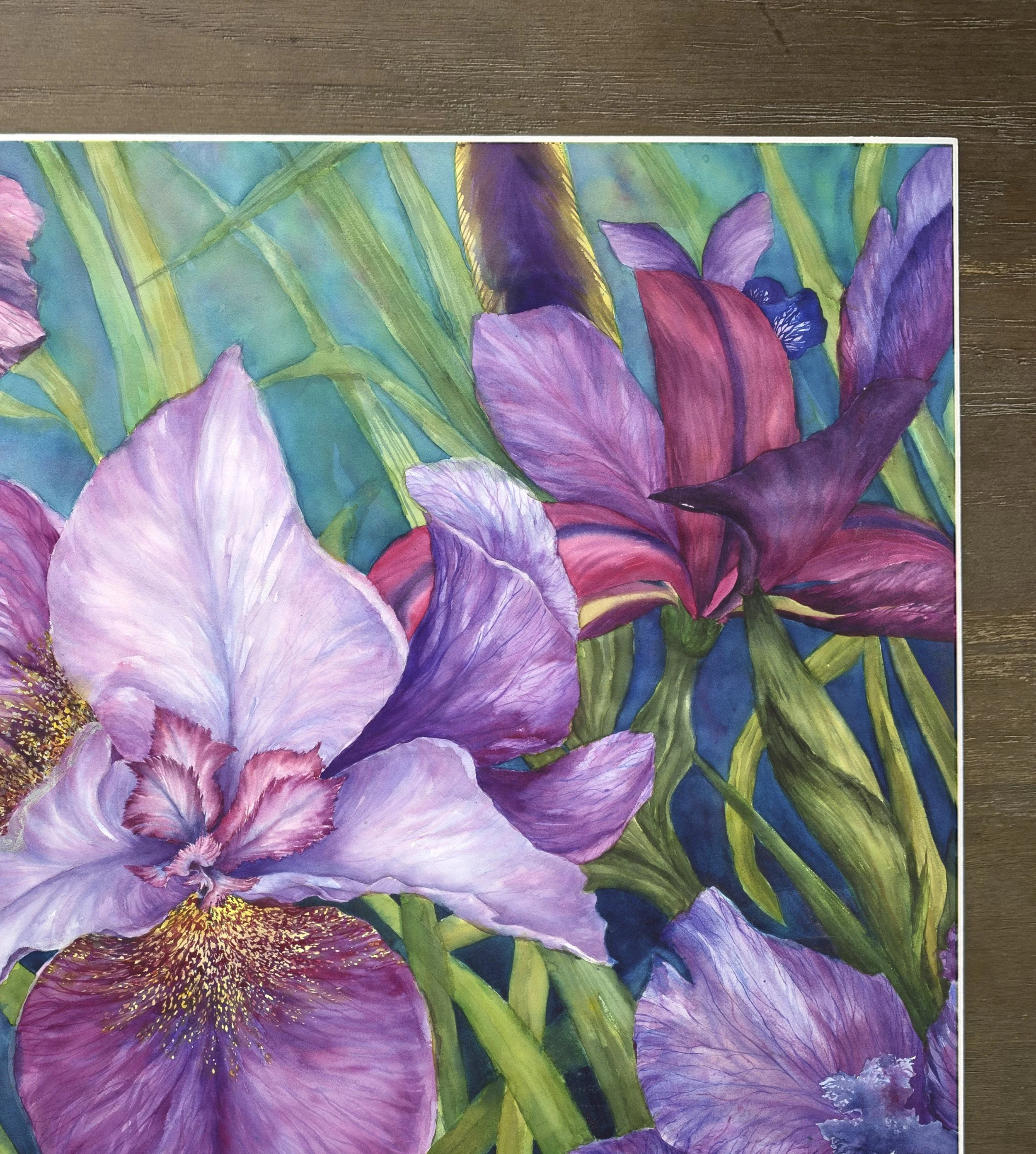 iris daydream 5.jpg