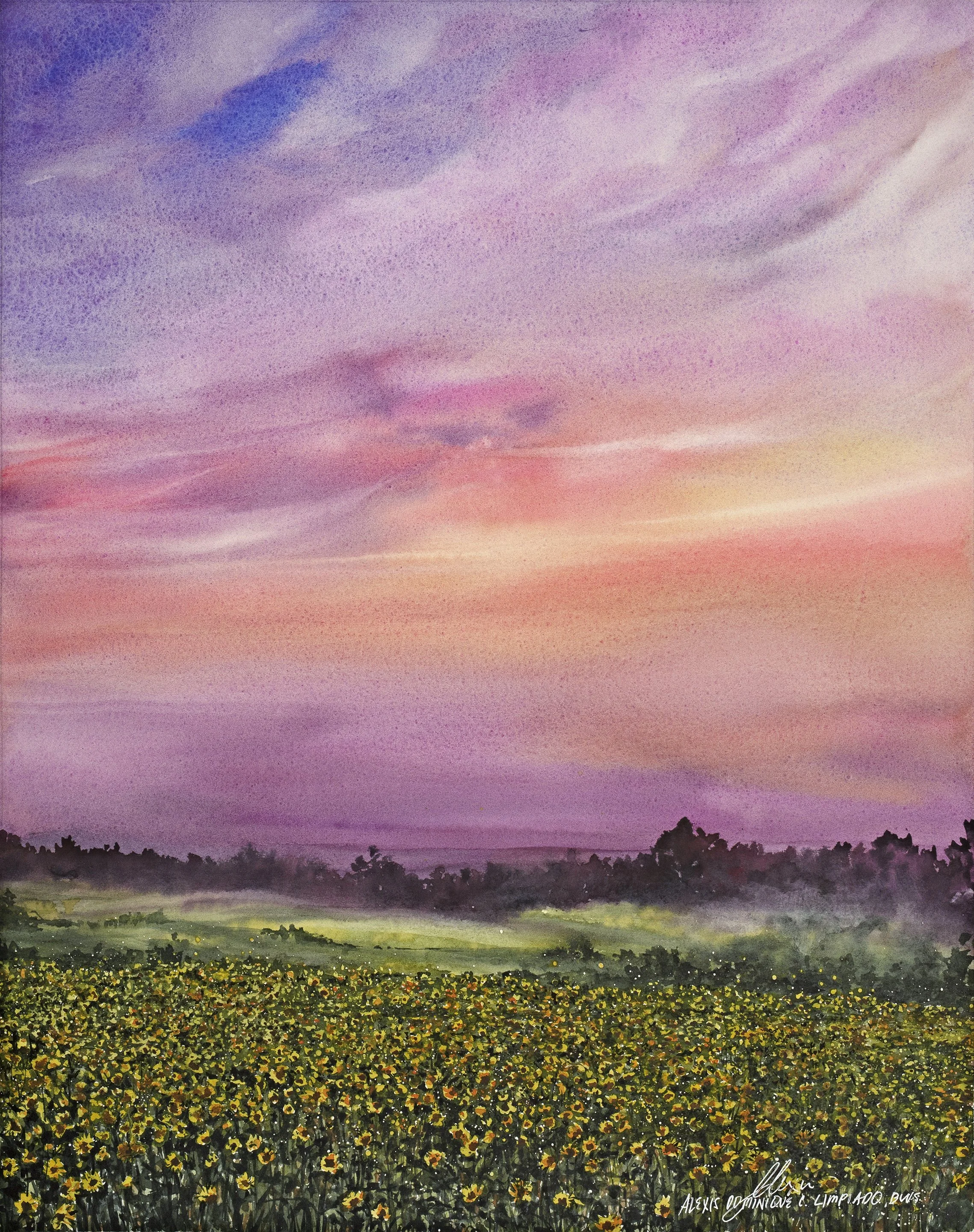 the sky of wonder.jpg