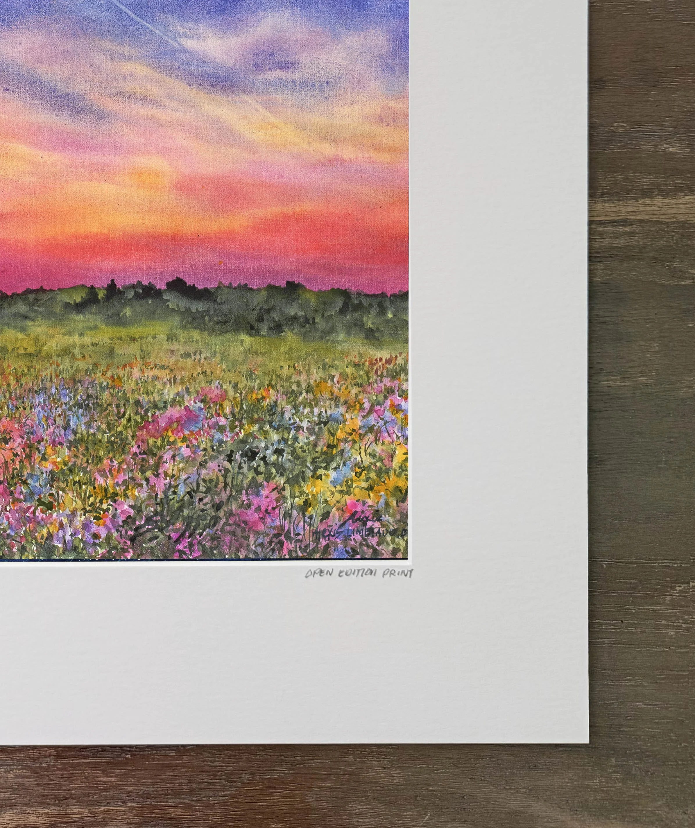 blooms & contrails 2.jpg