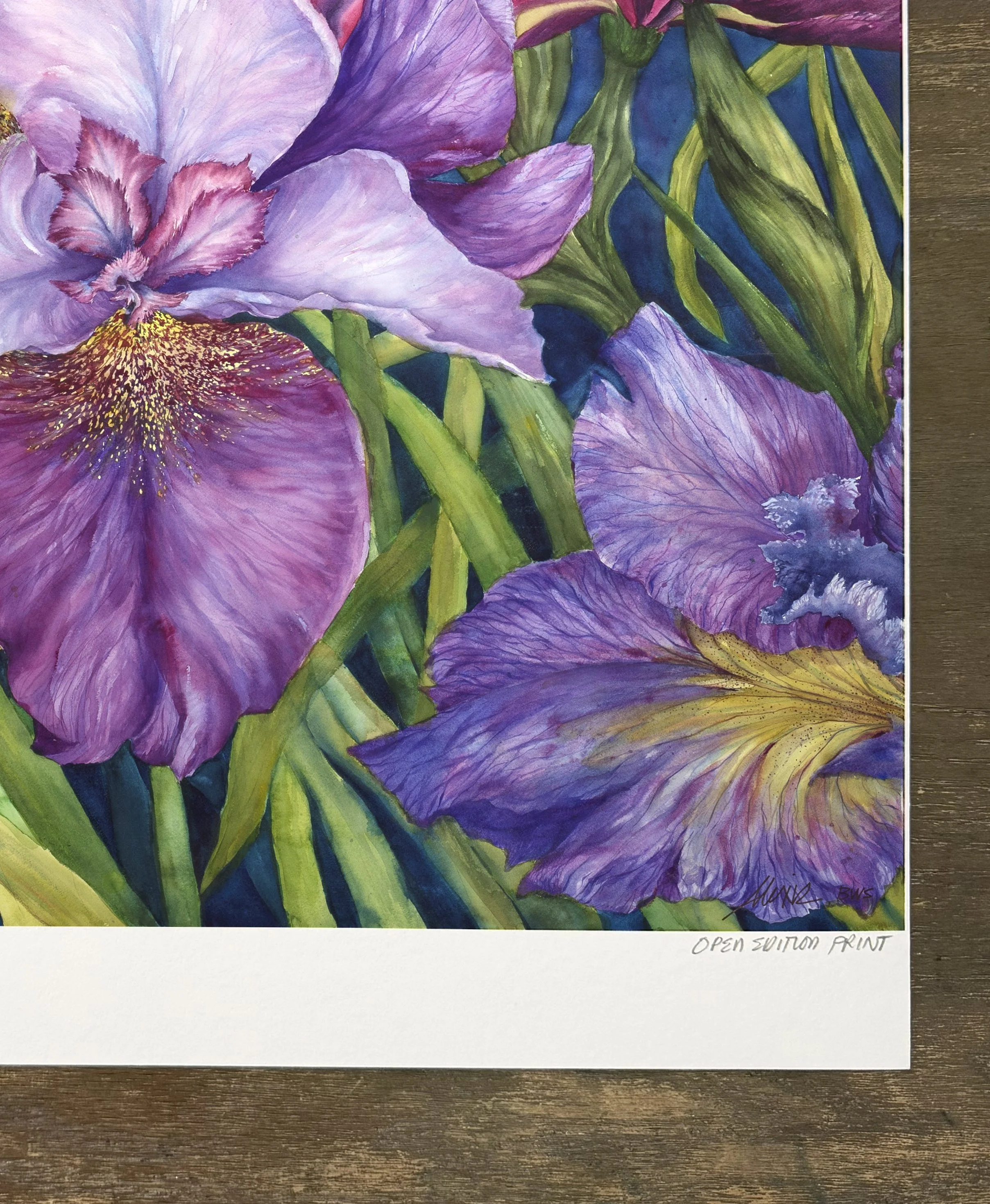iris daydream 3.jpg