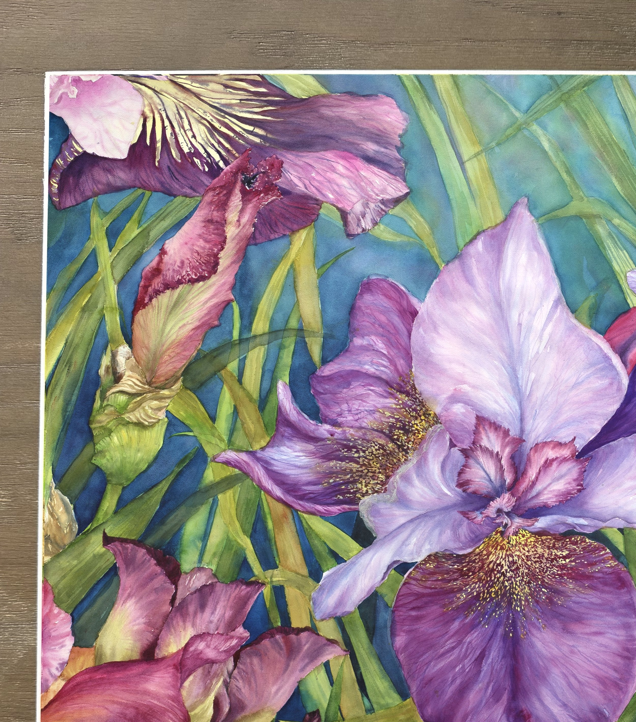 iris daydream 4.jpg