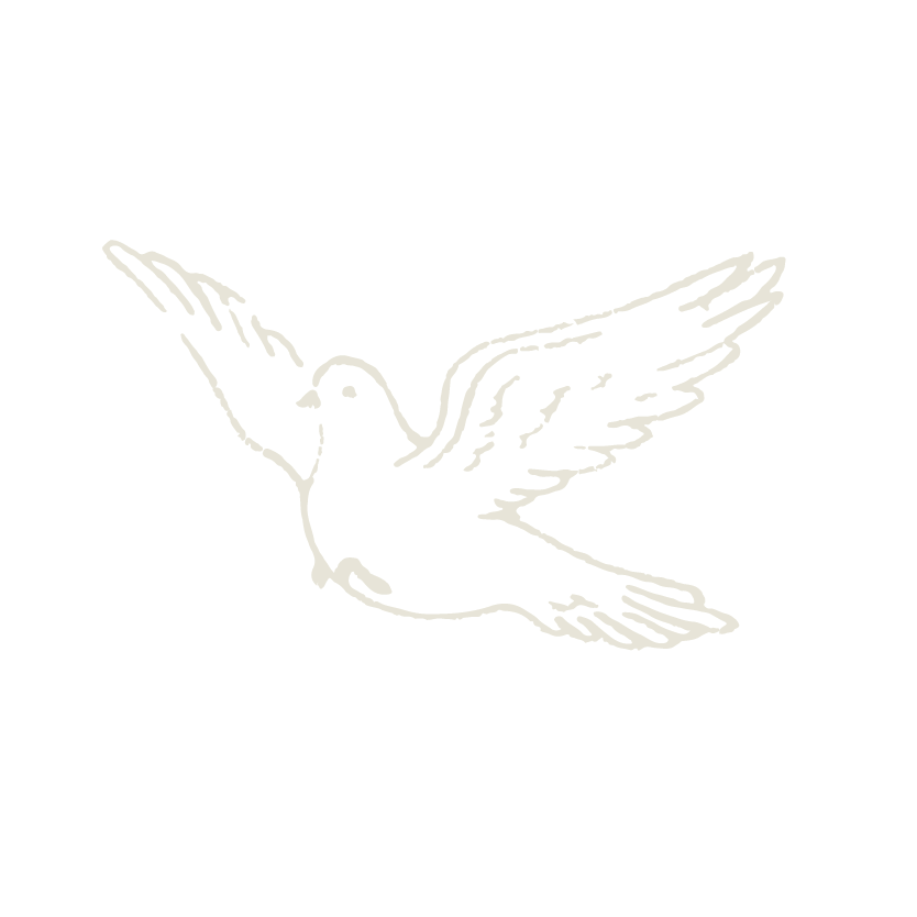 White dove illustration flying with wings spread against a black background