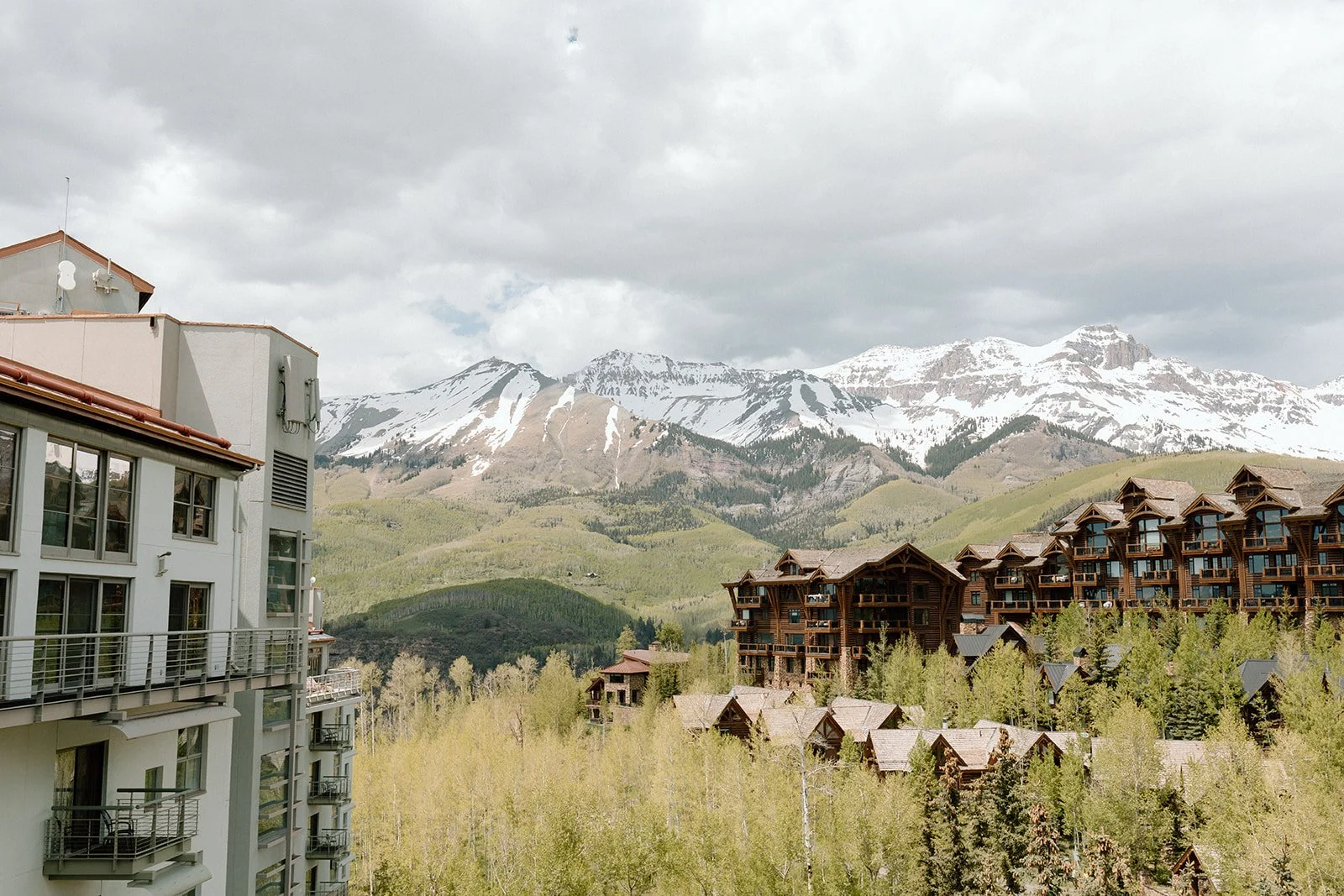 abbeyricephoto-22_websize.jpg