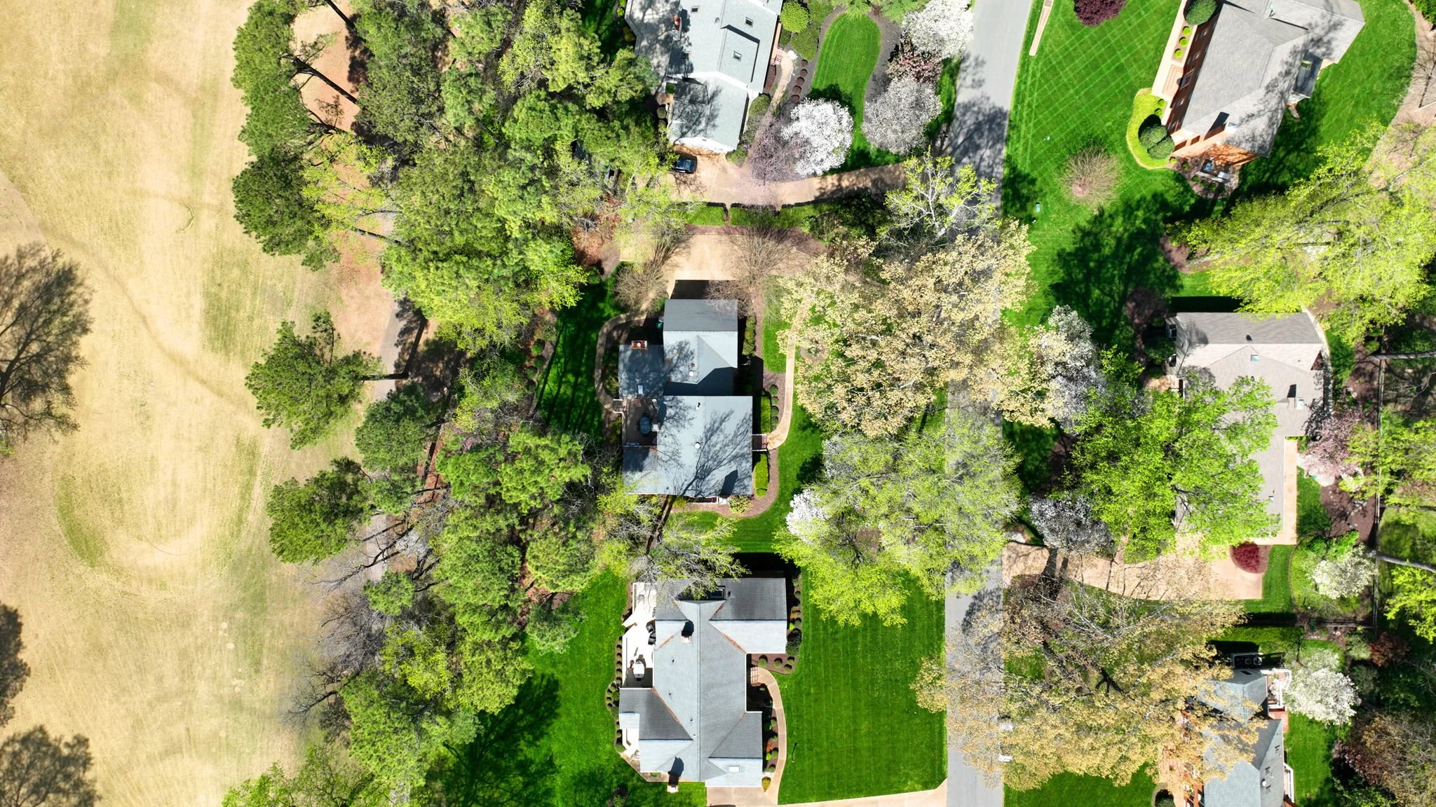117 Thomas Dale