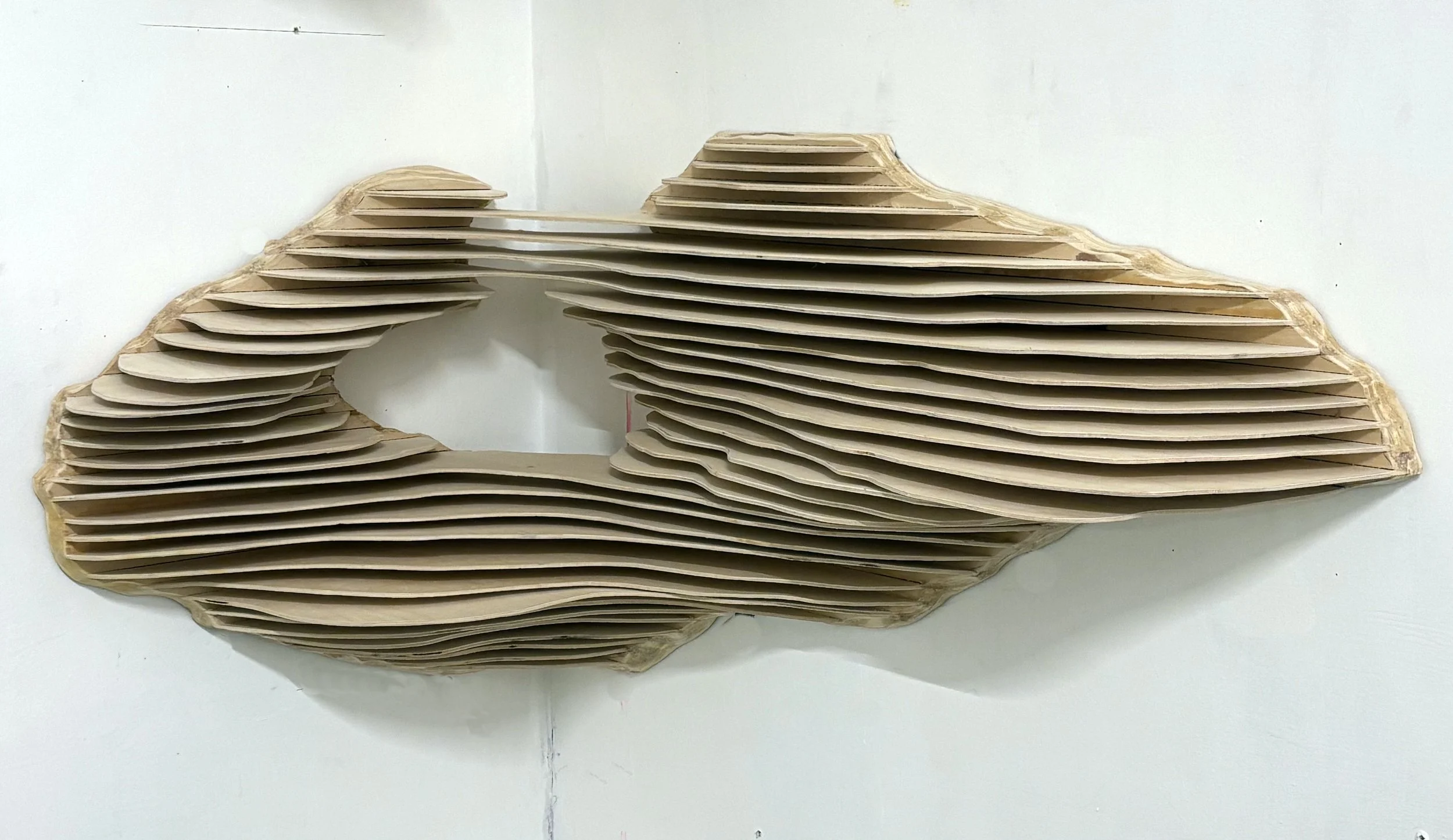 1.land form 5 IJ.jpeg