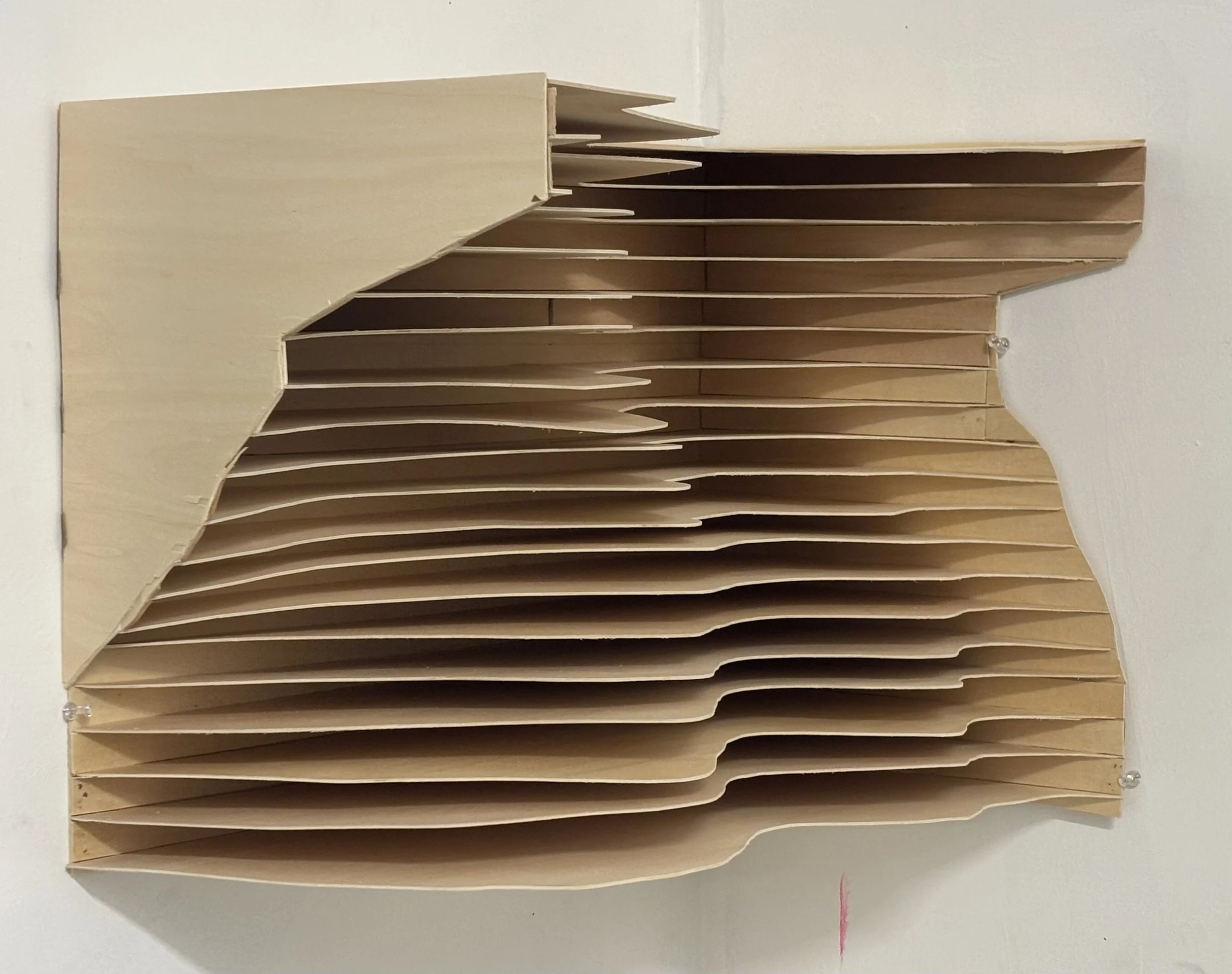 2. landf orm 2 IJ.jpeg