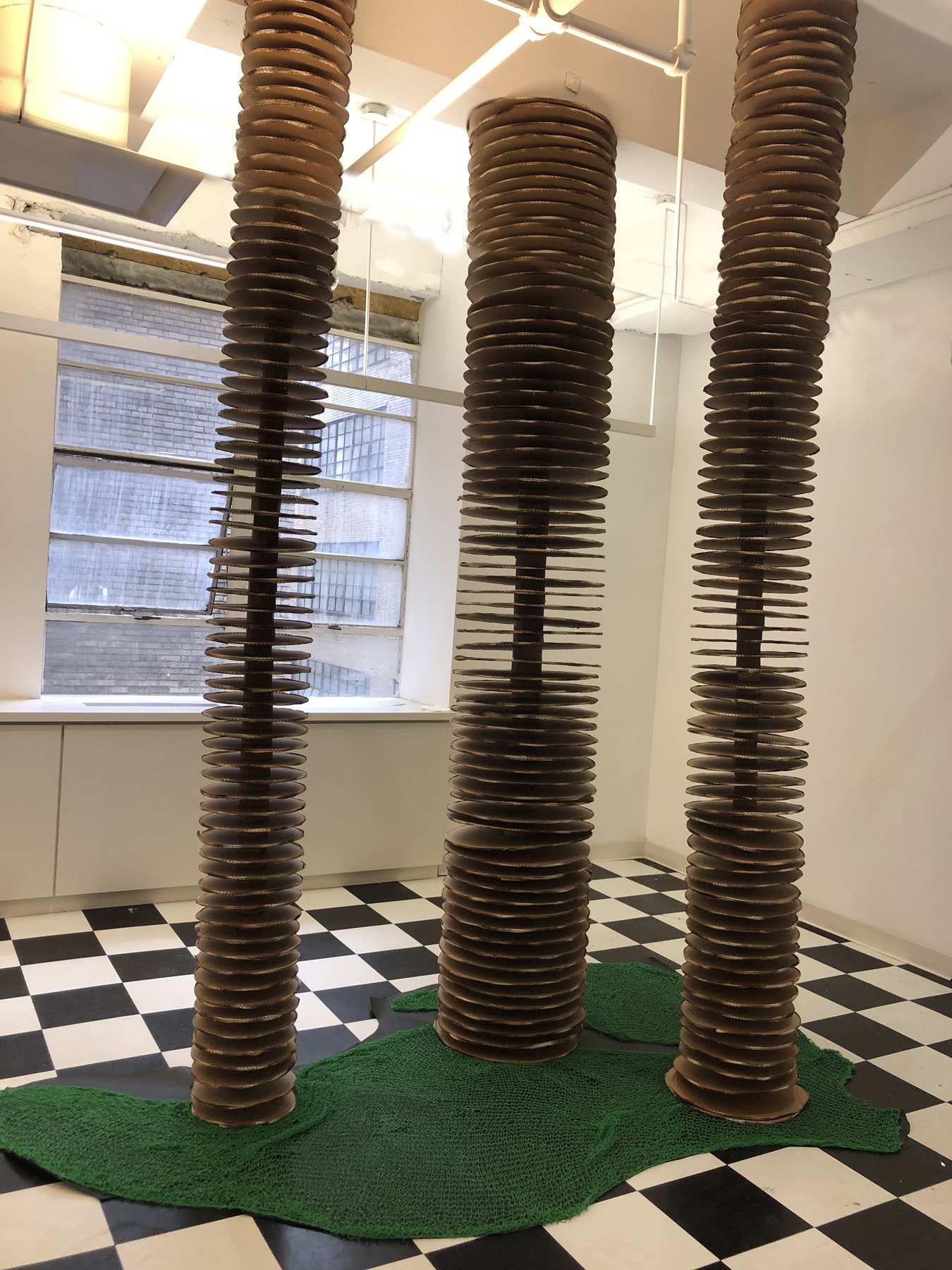 Topo Trees Spring Break.jpg