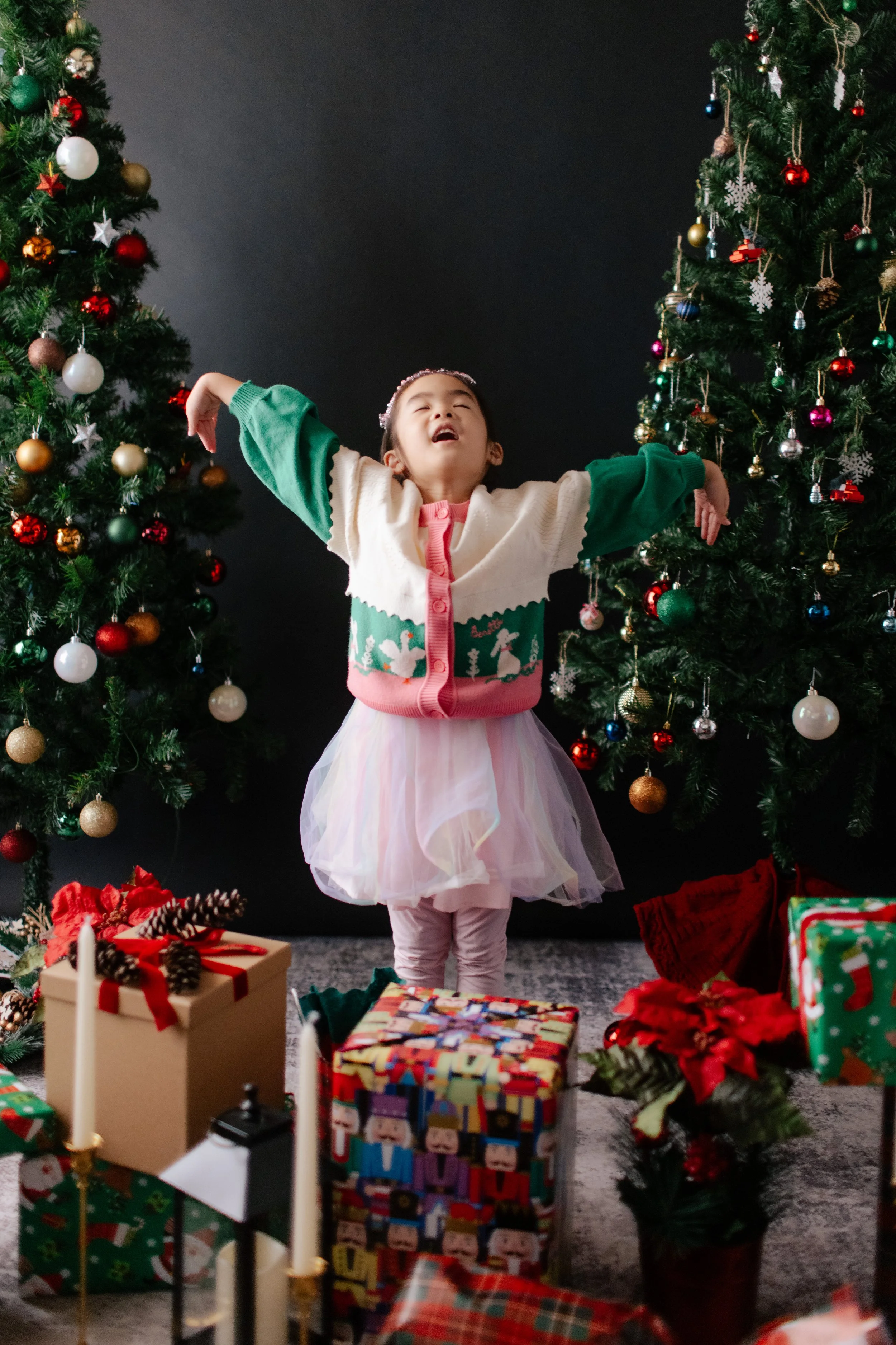 102525-JooAh Holiday Mini Session-150.jpg