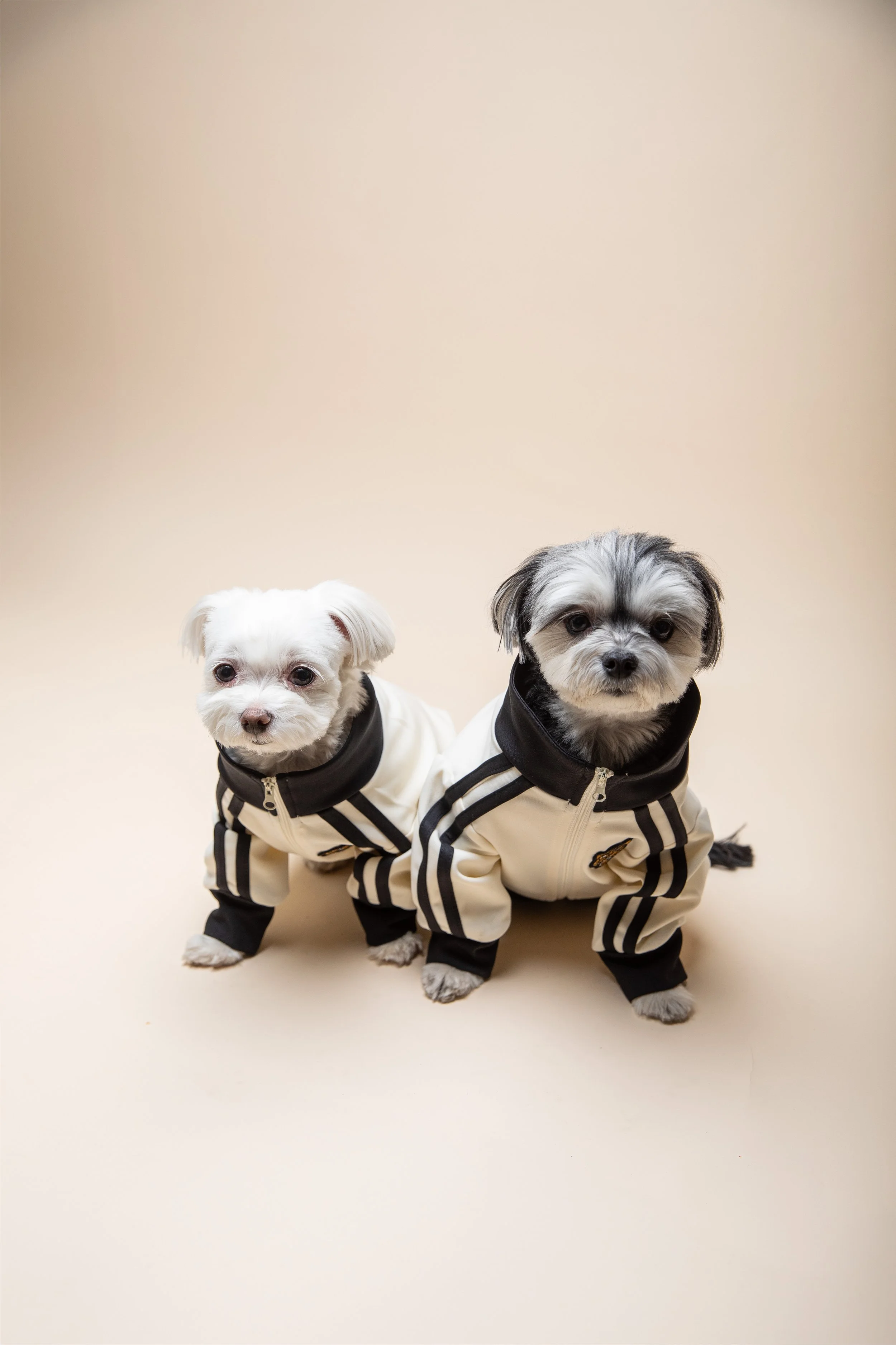 022725-Furb Test-162.jpg