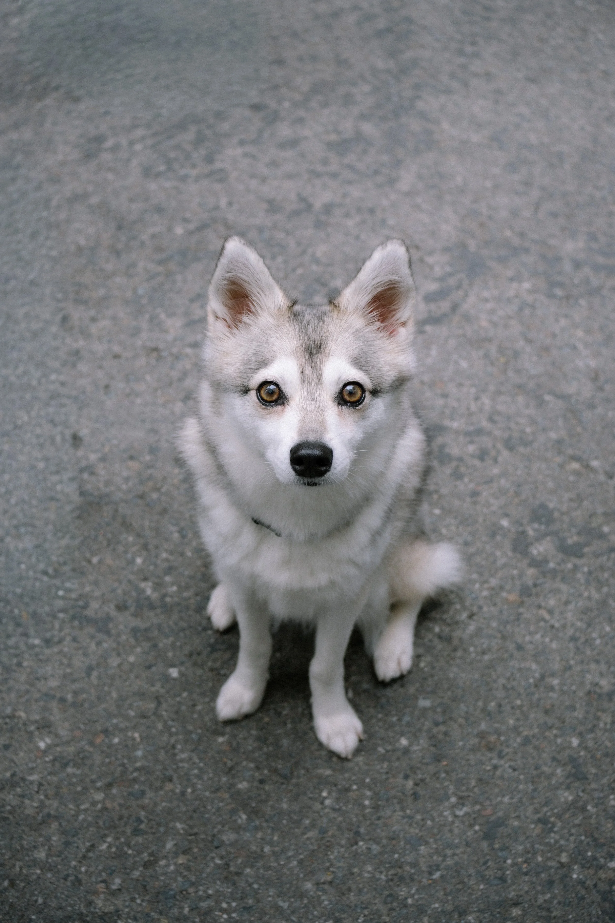 050325-Maru-06.jpg