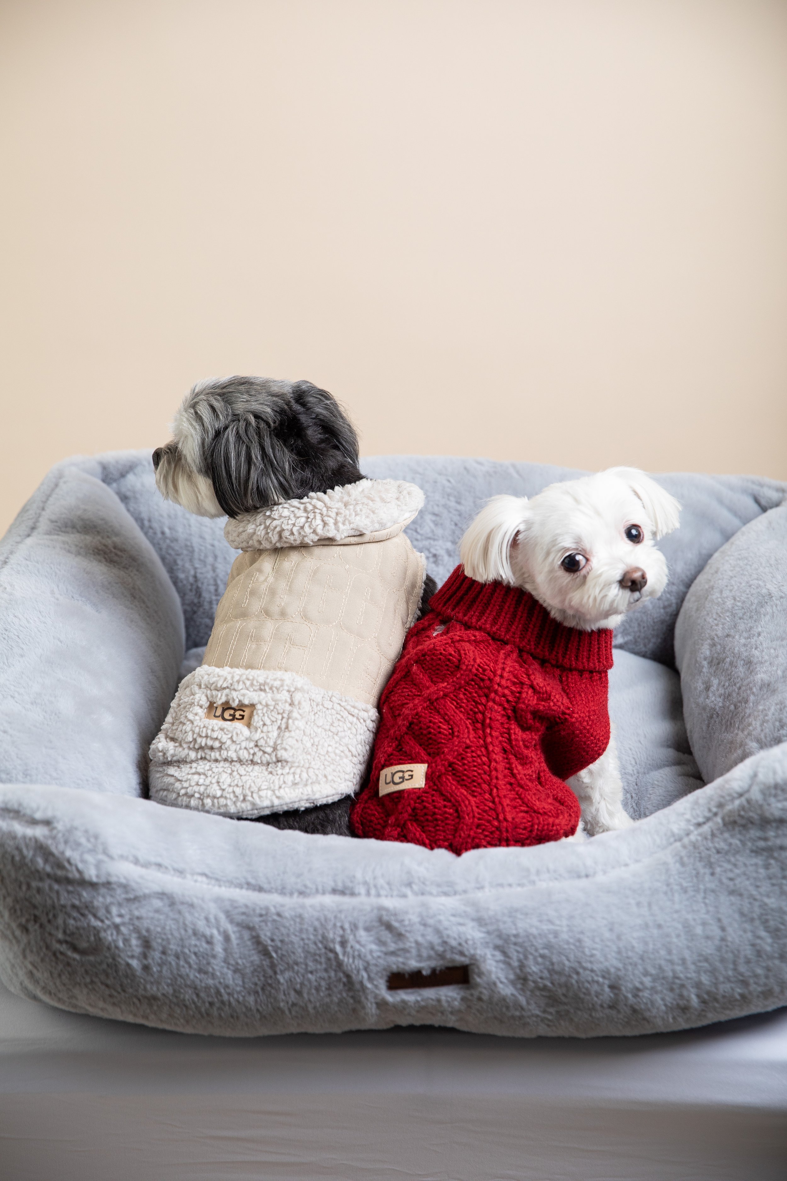 022725-Furb Test-221.jpg