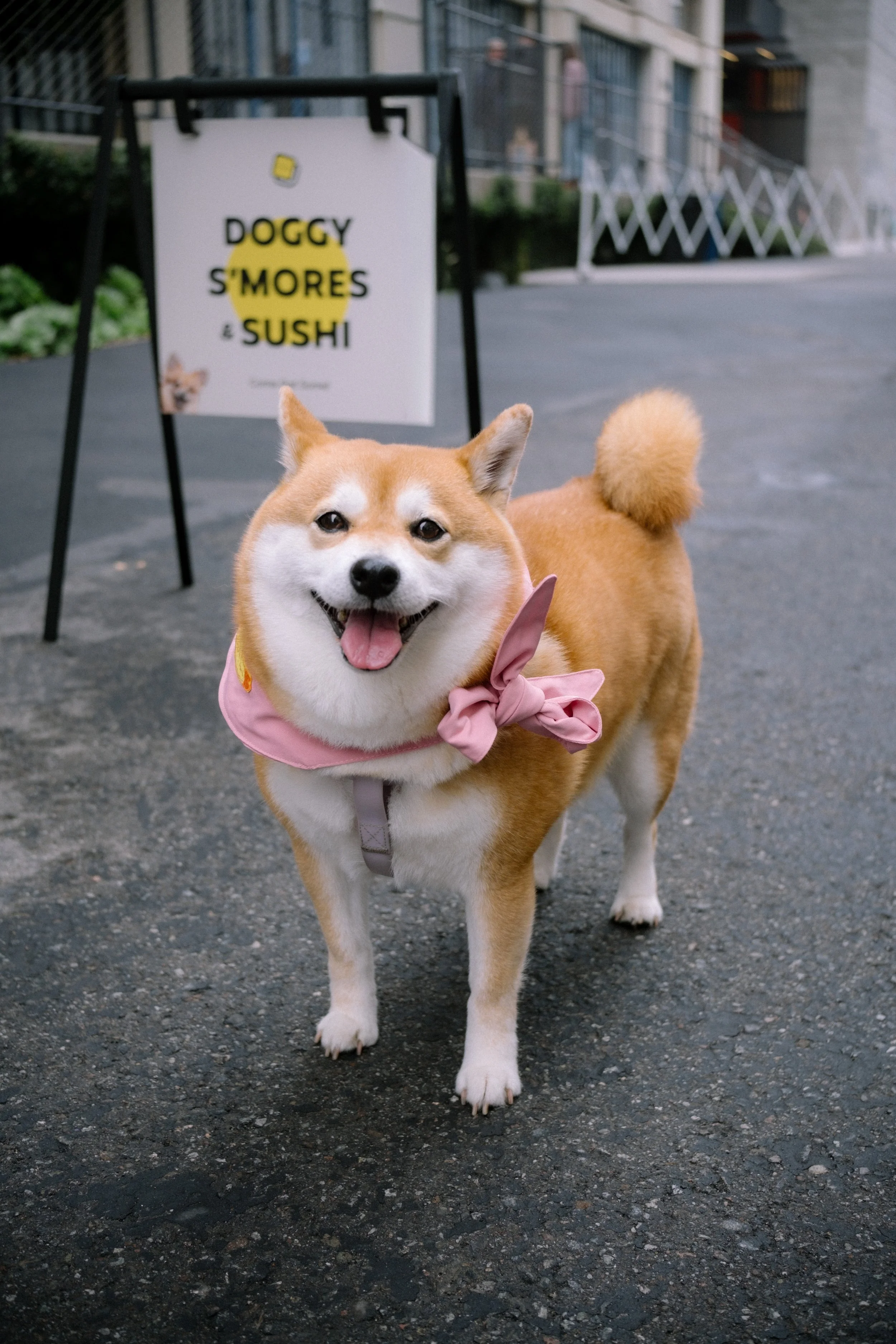 050325-Maru-05.jpg