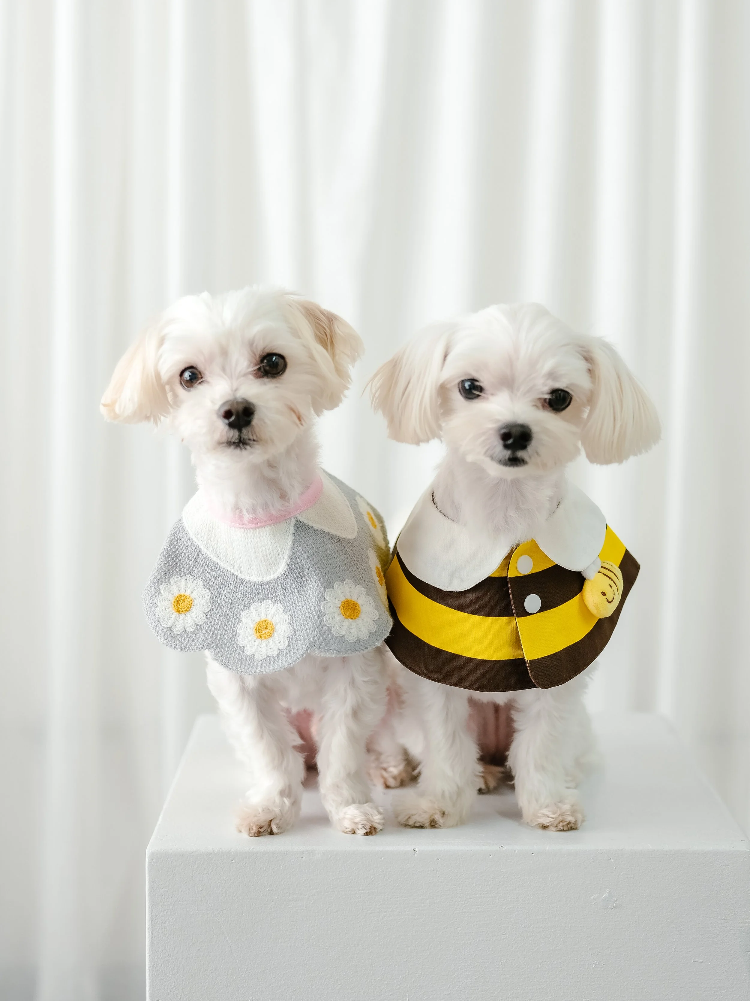 032226 - Heejin's Family-065.jpg