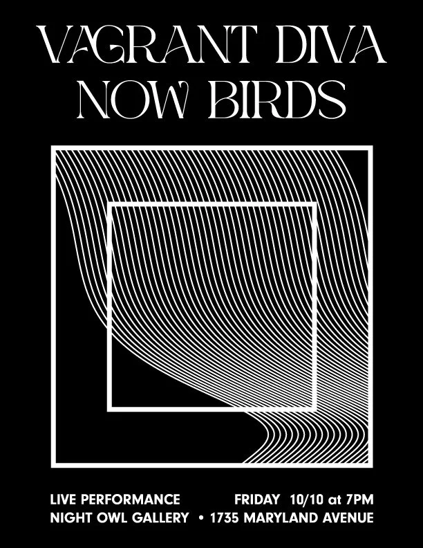 NightOwlposter - Beth-Ann Wilson.jpeg