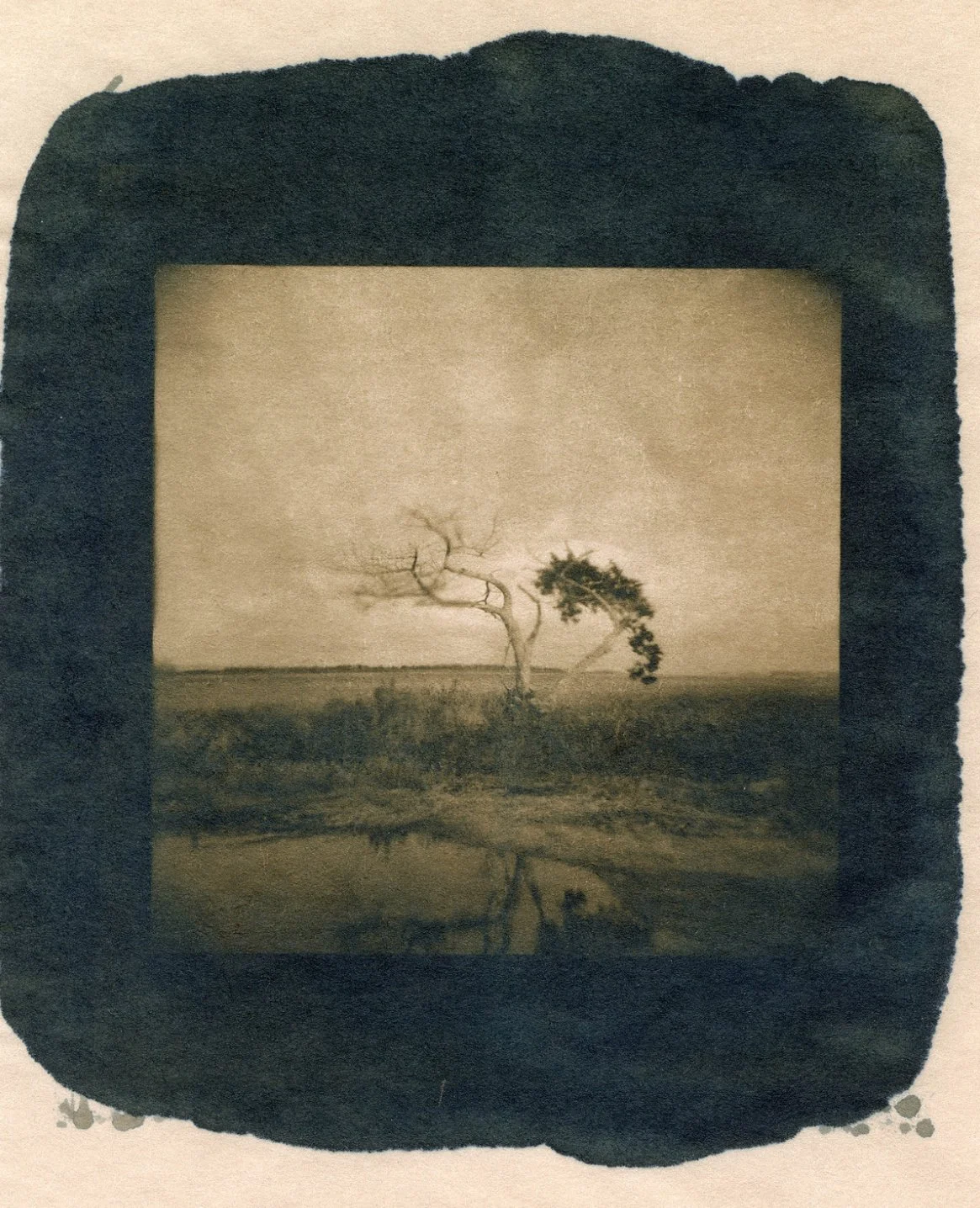 morghan 5x7 - STUDIO MANAGER.jpeg