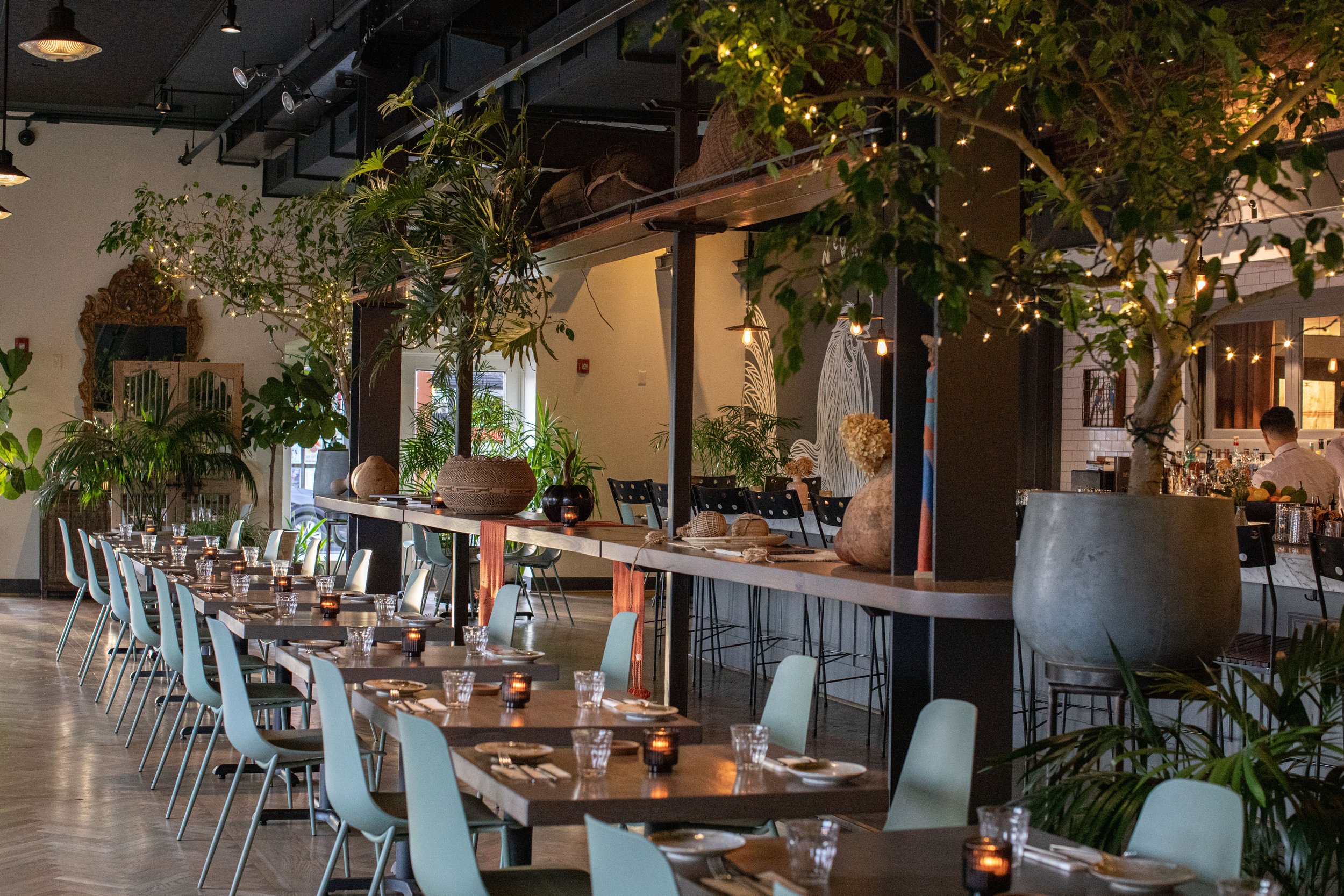 Alma Space - Alma Cocina Latina.jpg