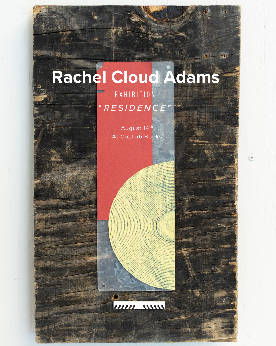 Rachel Cloud Adams2 - Cory Adcock-Camp.png