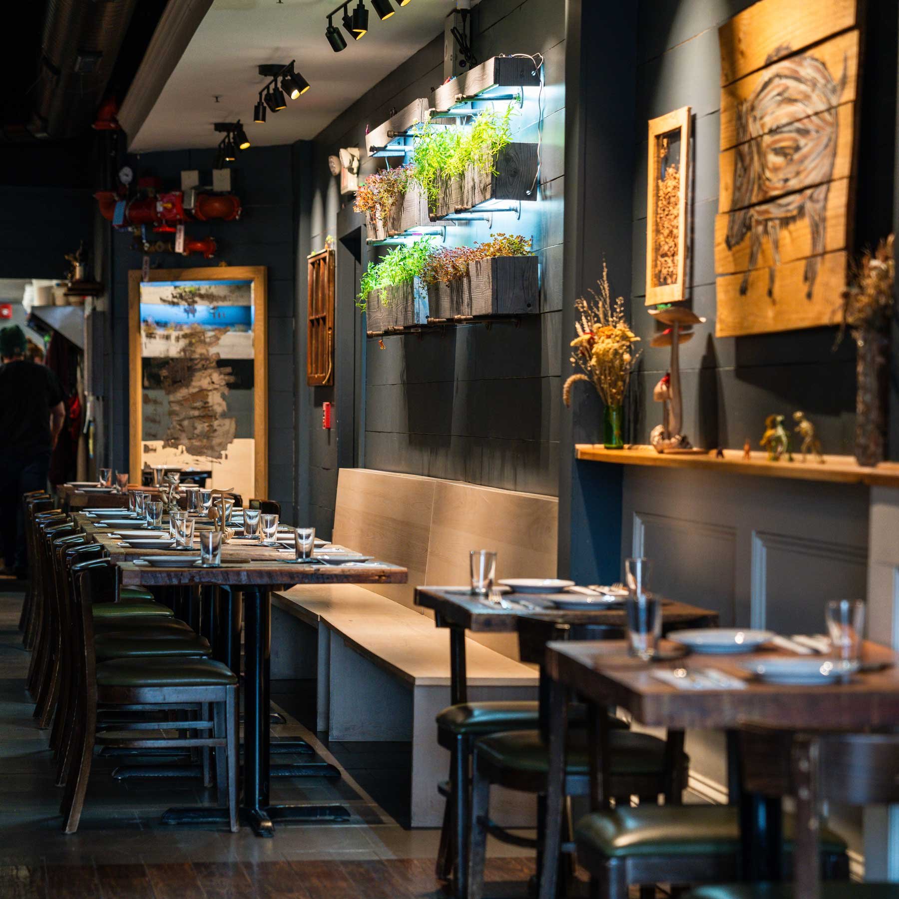 Interior of a cozy cafe with wooden tables and chairs, plants on the wall, and dim lighting. Tables are set with glassware and napkins. The decor includes rustic art and a shelf with dried flowers.
