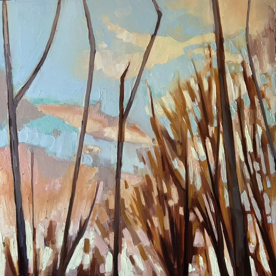 Sunset Through Alders