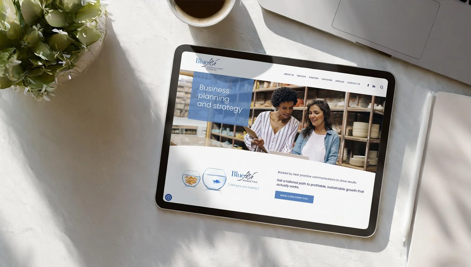 Joco-Web-Design-Slider-Bluefish.jpg
