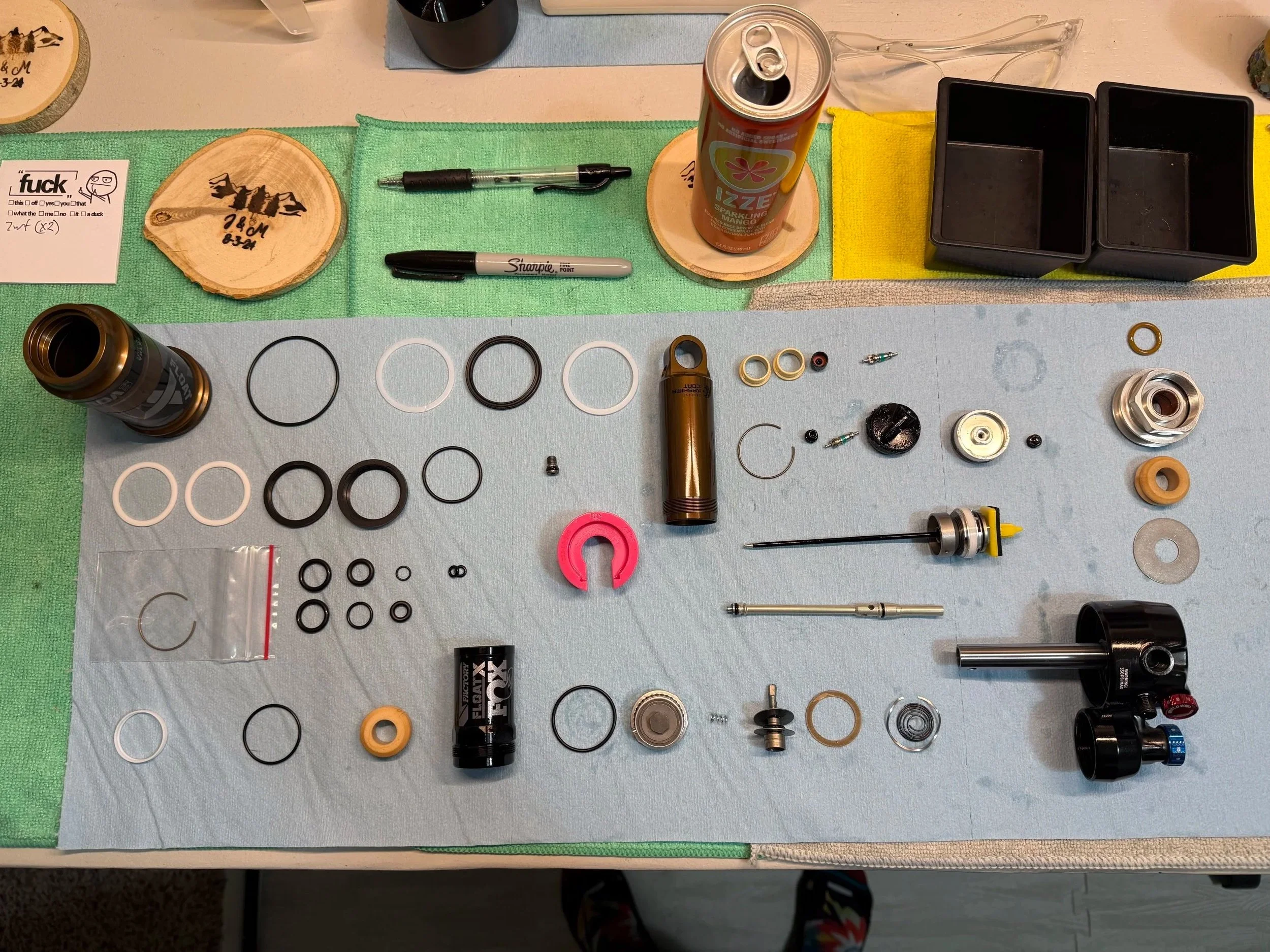 Float X Getting fresh seals and oil...