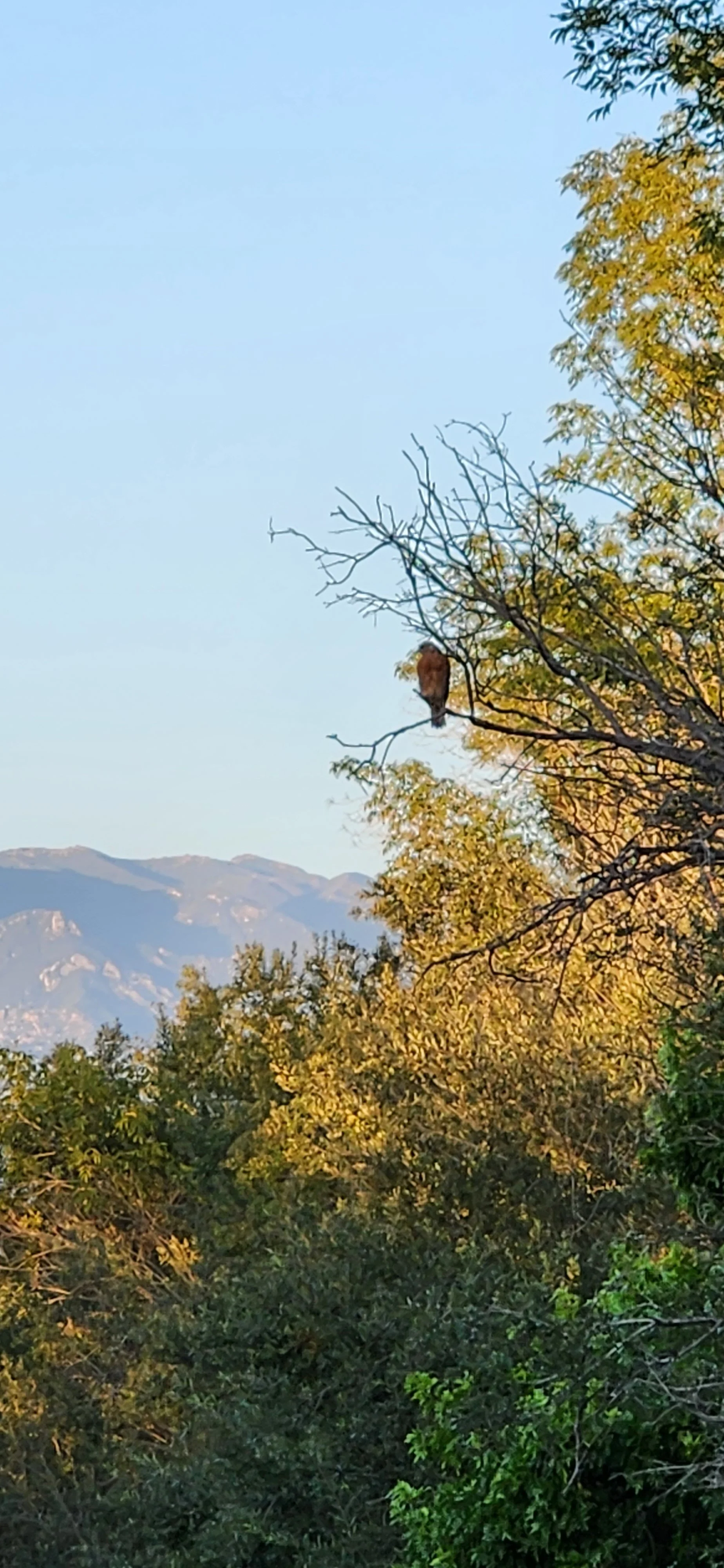 Open for Submissions in April