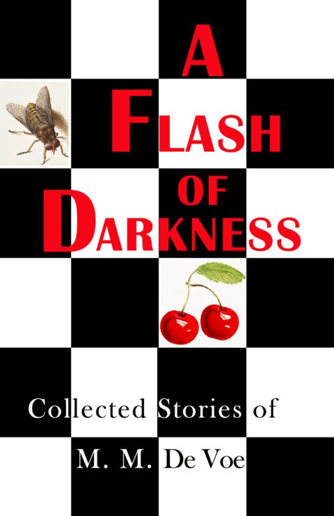 Flash of Darkness by M. M. DeVoe