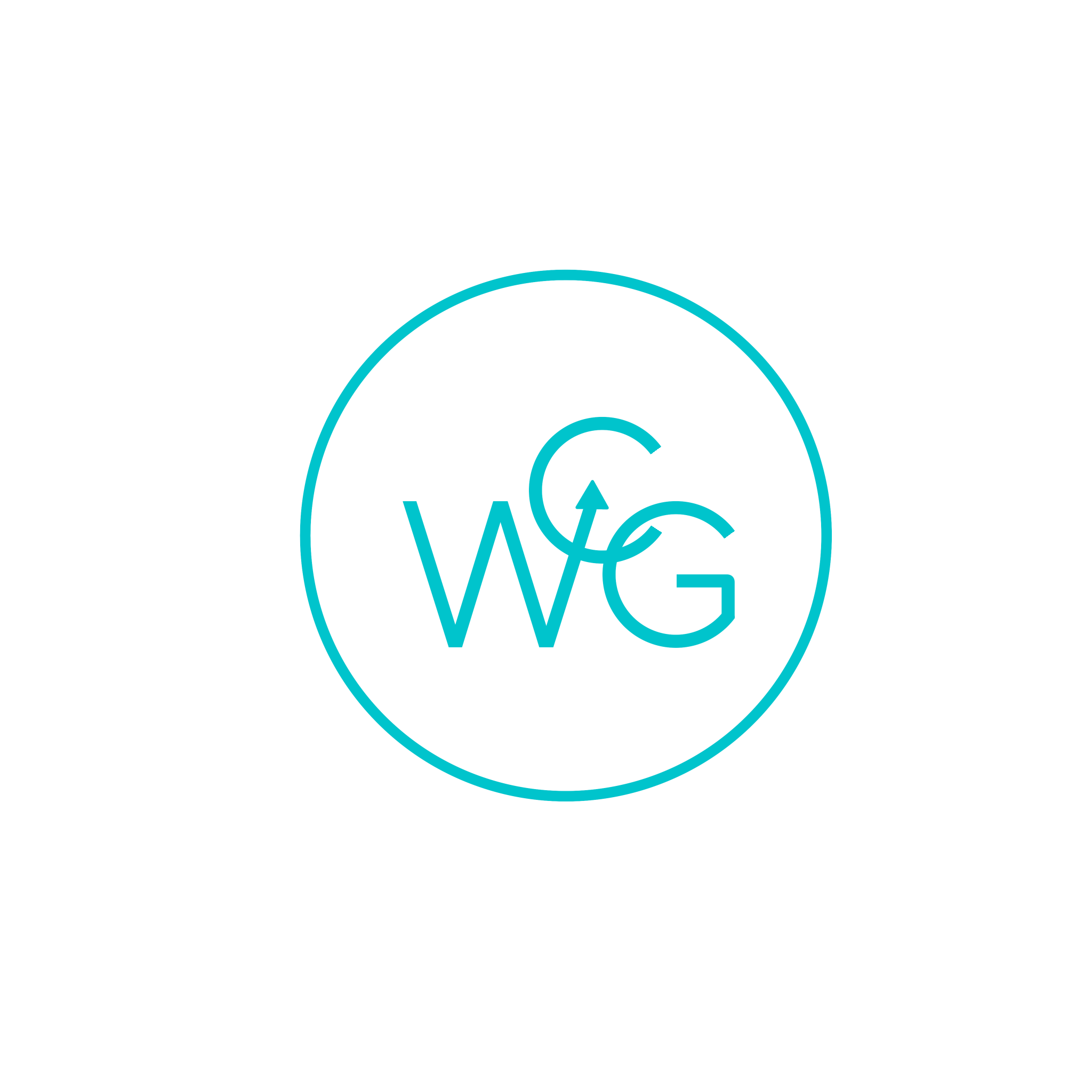 Warriors Consulting Group