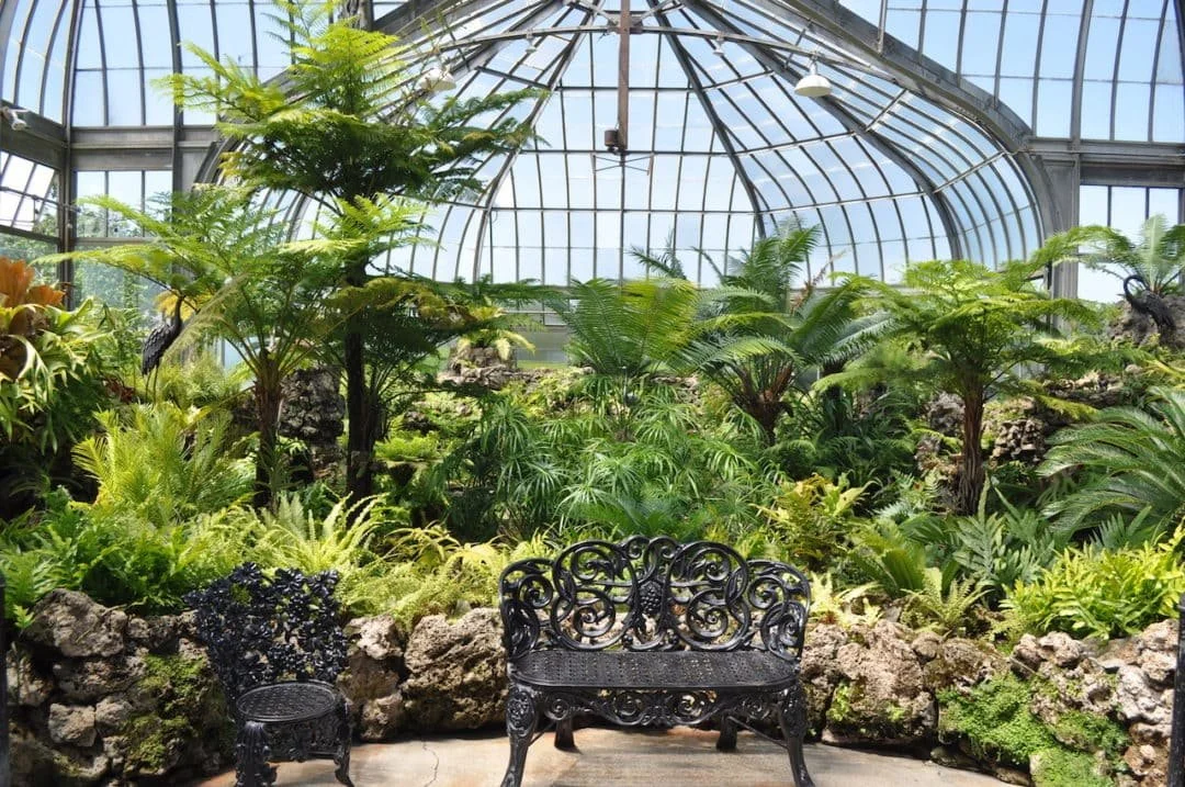 Belle Isle Conservatory in Michigan it is a conservatory and greenhouse filled with a wide range of plants and heavy visual representation of Gig-L