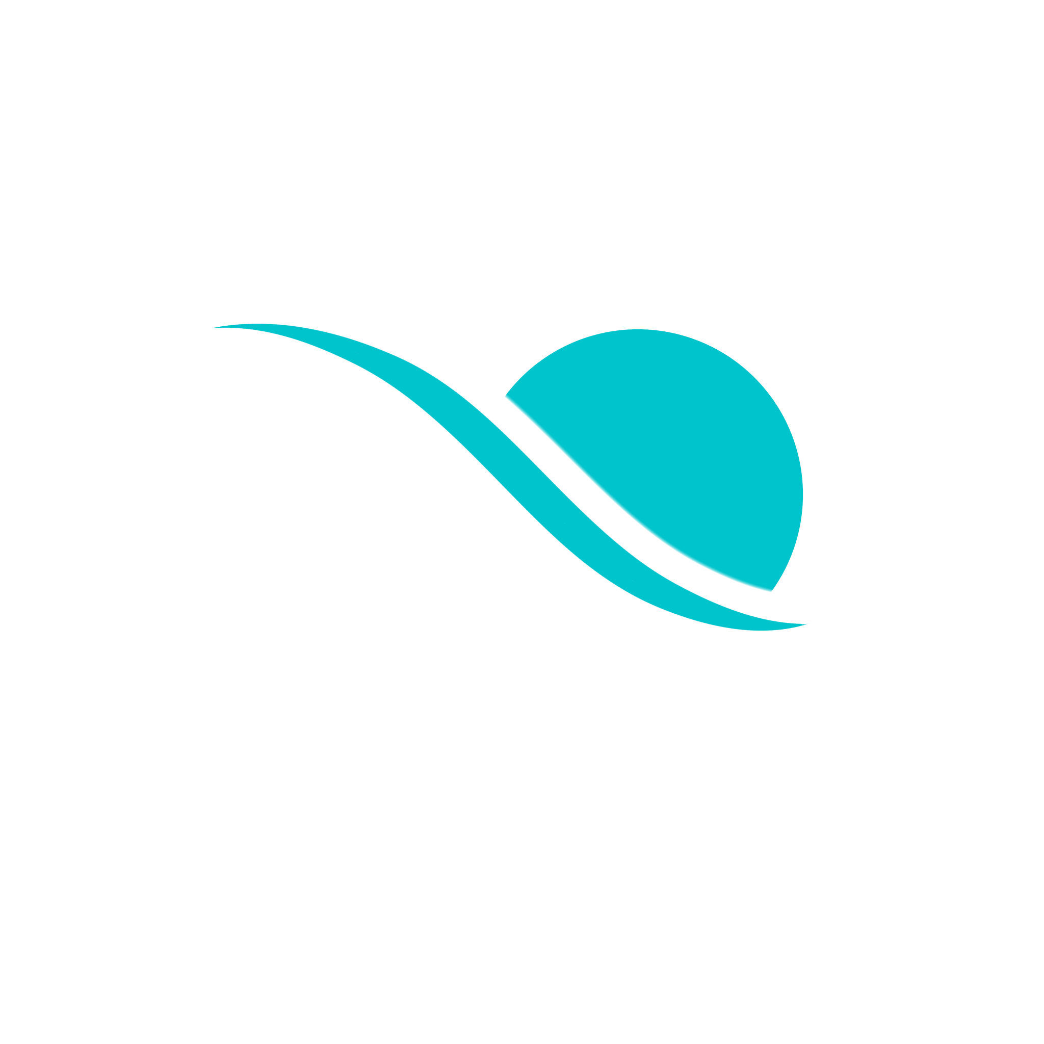 Digital Summer Clinic