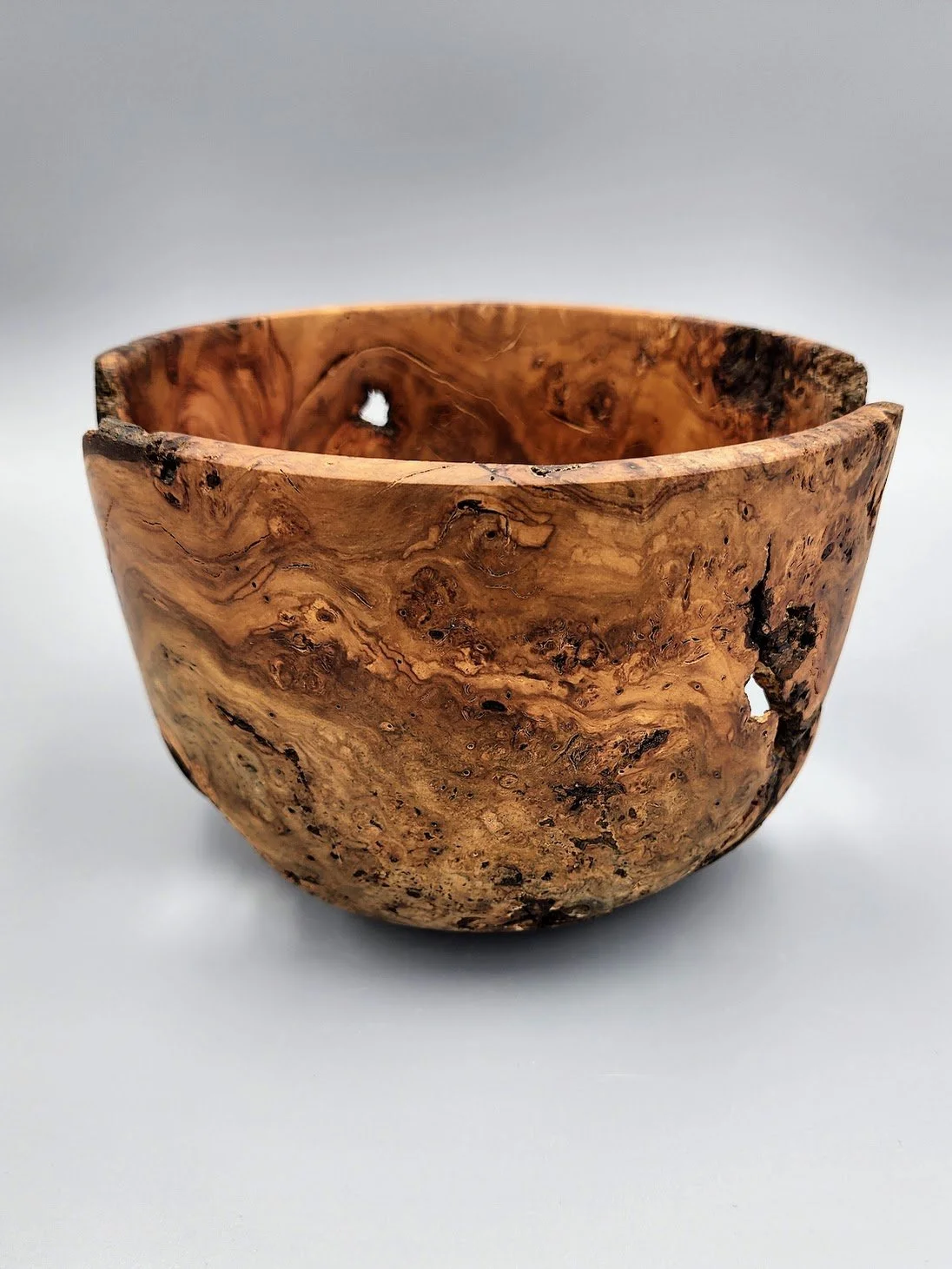 26020 Cherry rootball - side 1.jpg