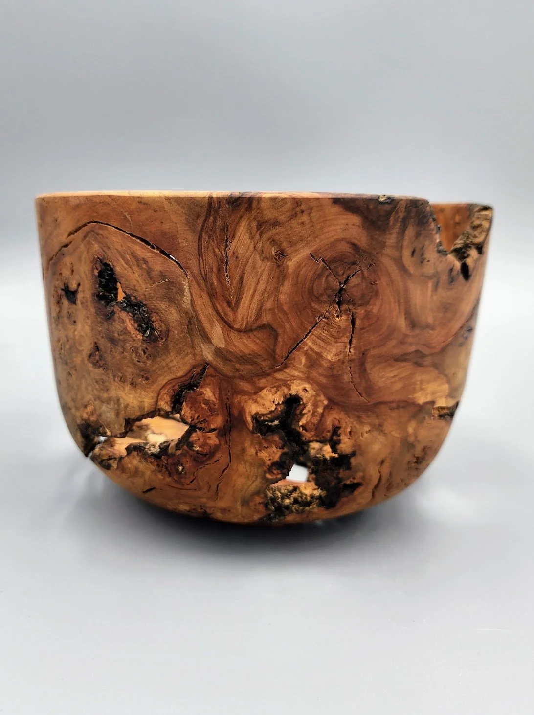 26020 Cherry rootball - side 2.jpg