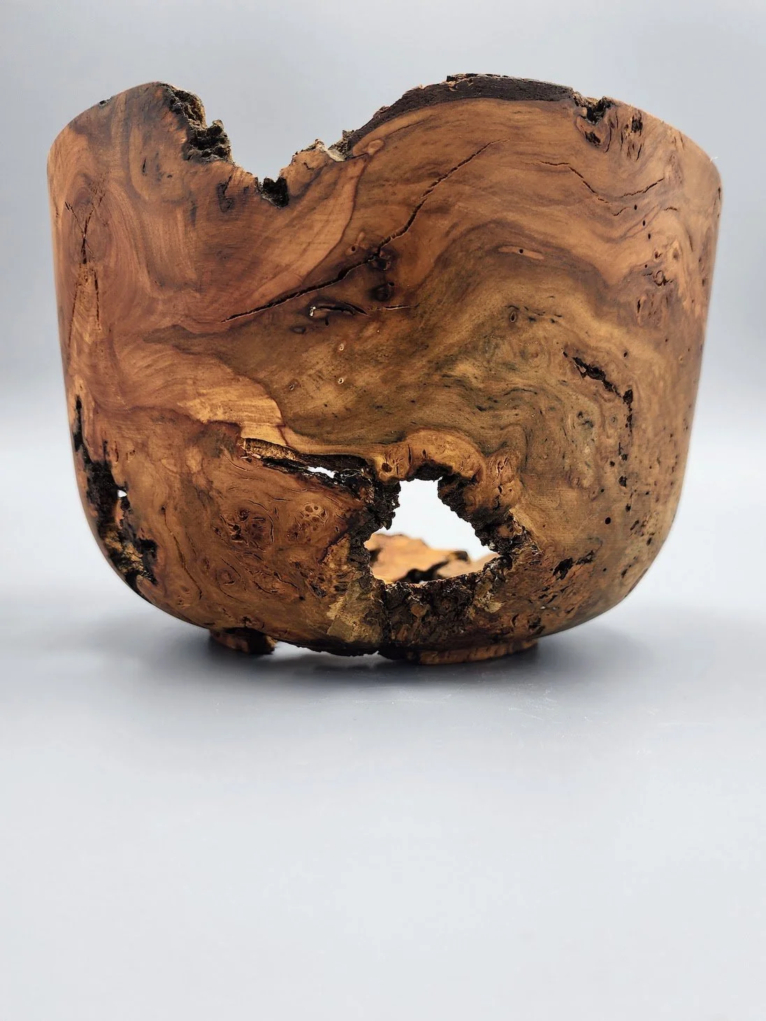 26020 Cherry rootball - back.jpg