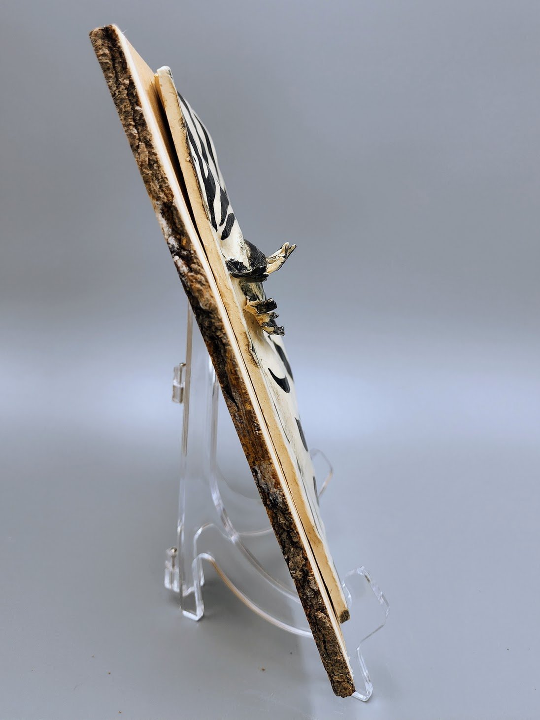 Daria's zebra - left side.jpg