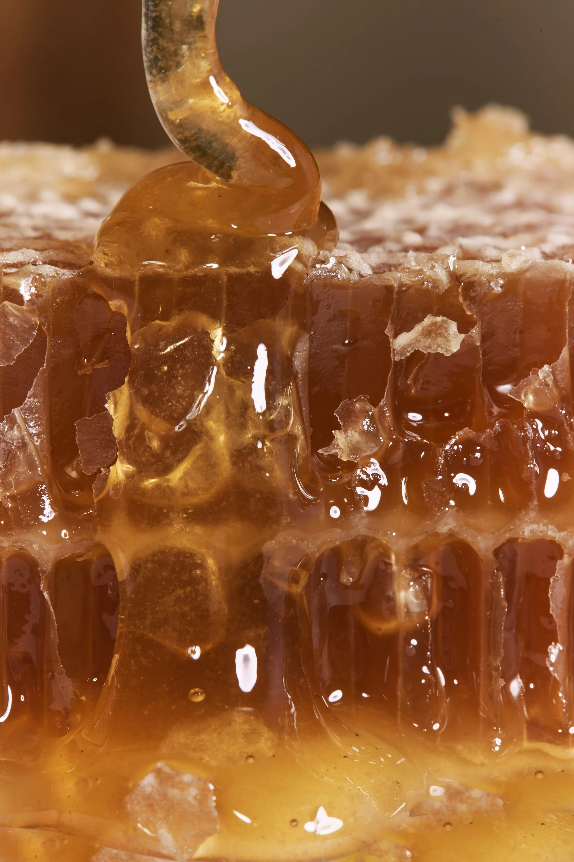 Close-up of honeycomb with honey dripping.