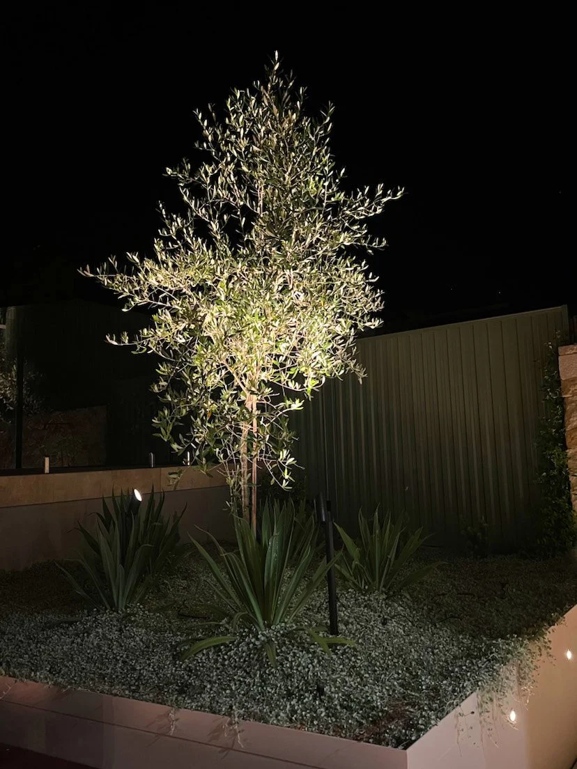 heathcote-home-nature-lighting.jpg