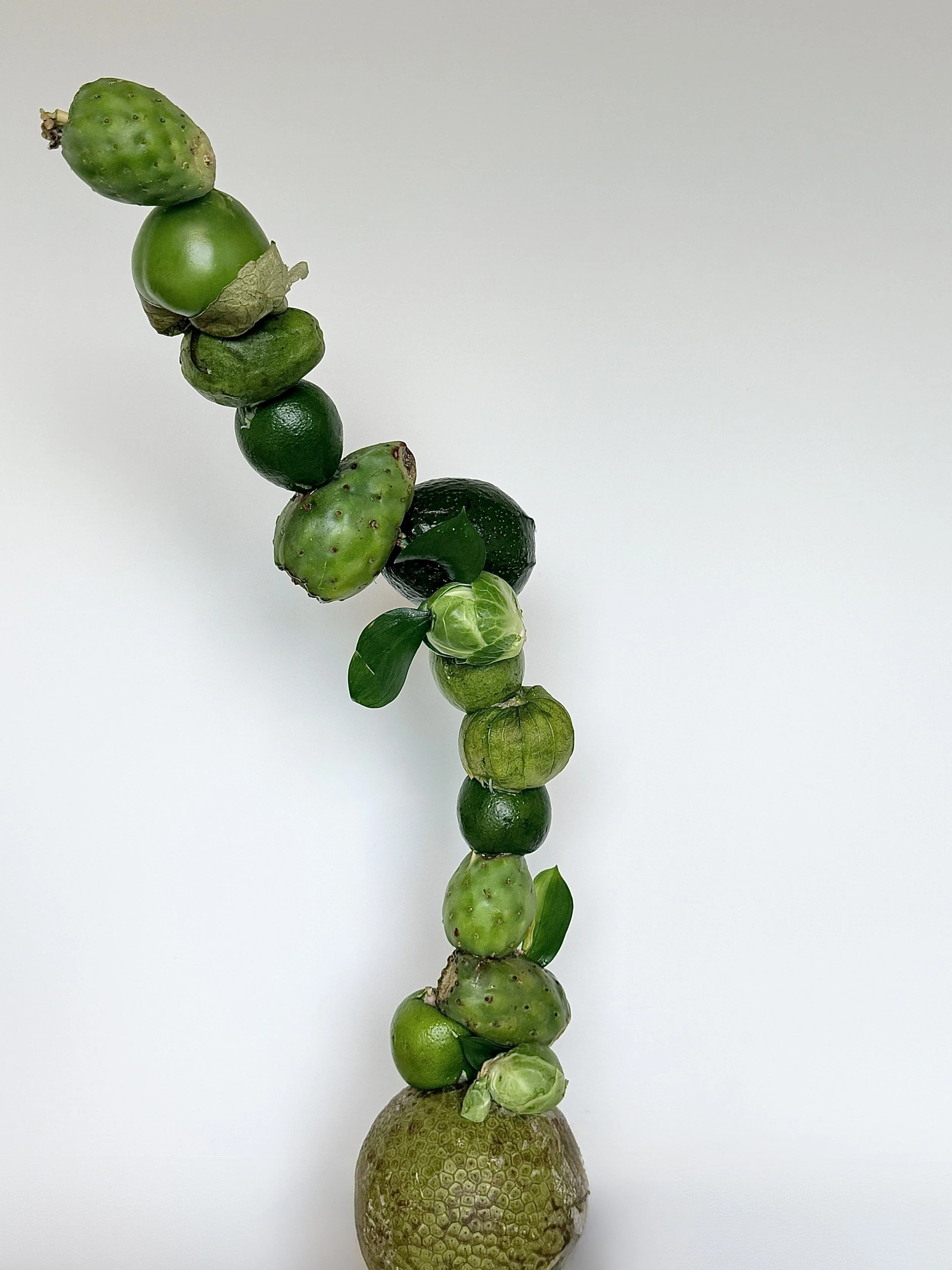 Green study: instability disguised as order