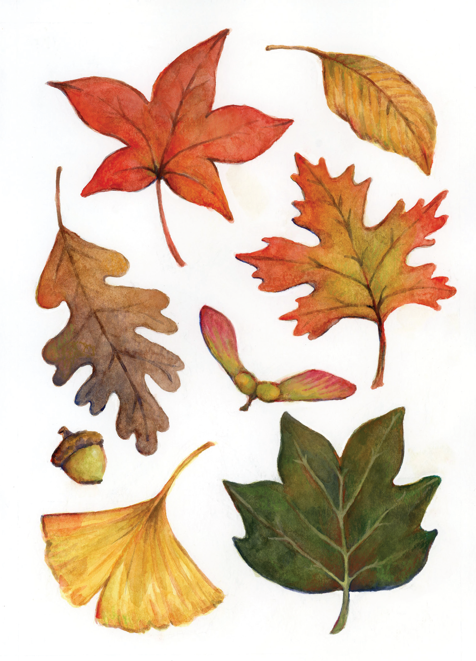 fig_image_1_130237443.png