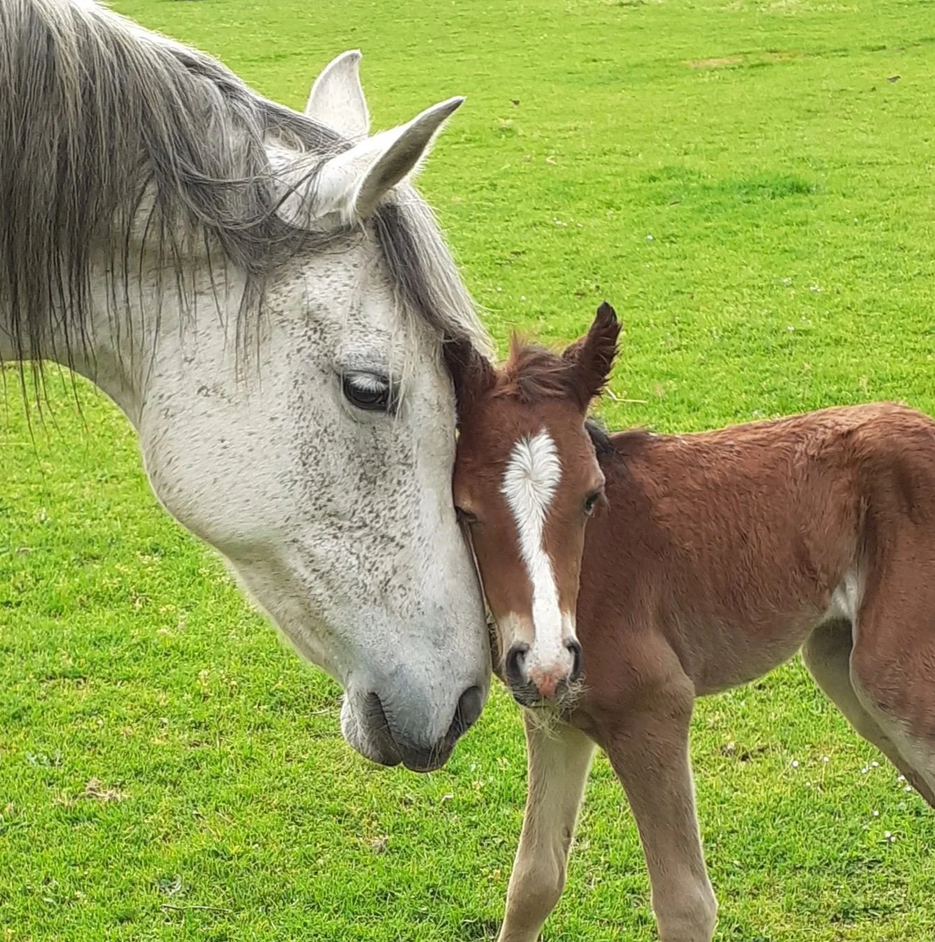 How can we become and stay connected? Part the first, self-connection