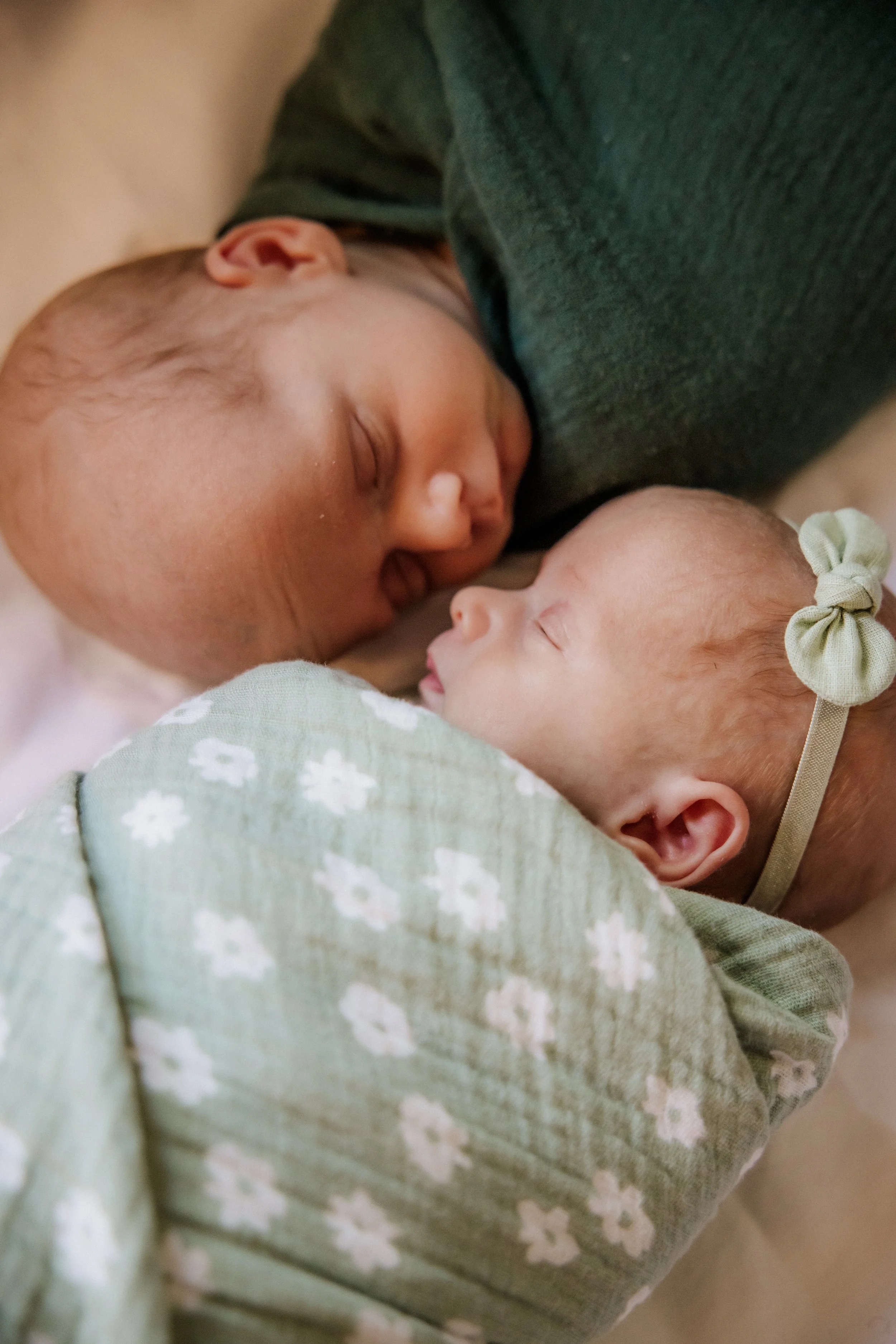 Two twin babies swaddled and facing each other during family photography session