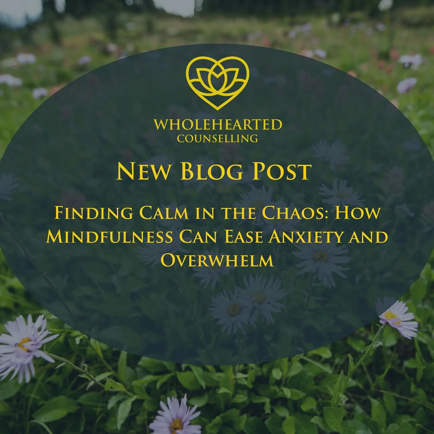 One tool that comes up again and again in all counselling modalities and I find instrumental in my own life is mindfulness.
I’ve started a blog on my website and it’s fitting that the first post is about mindfulness! Read the full post o