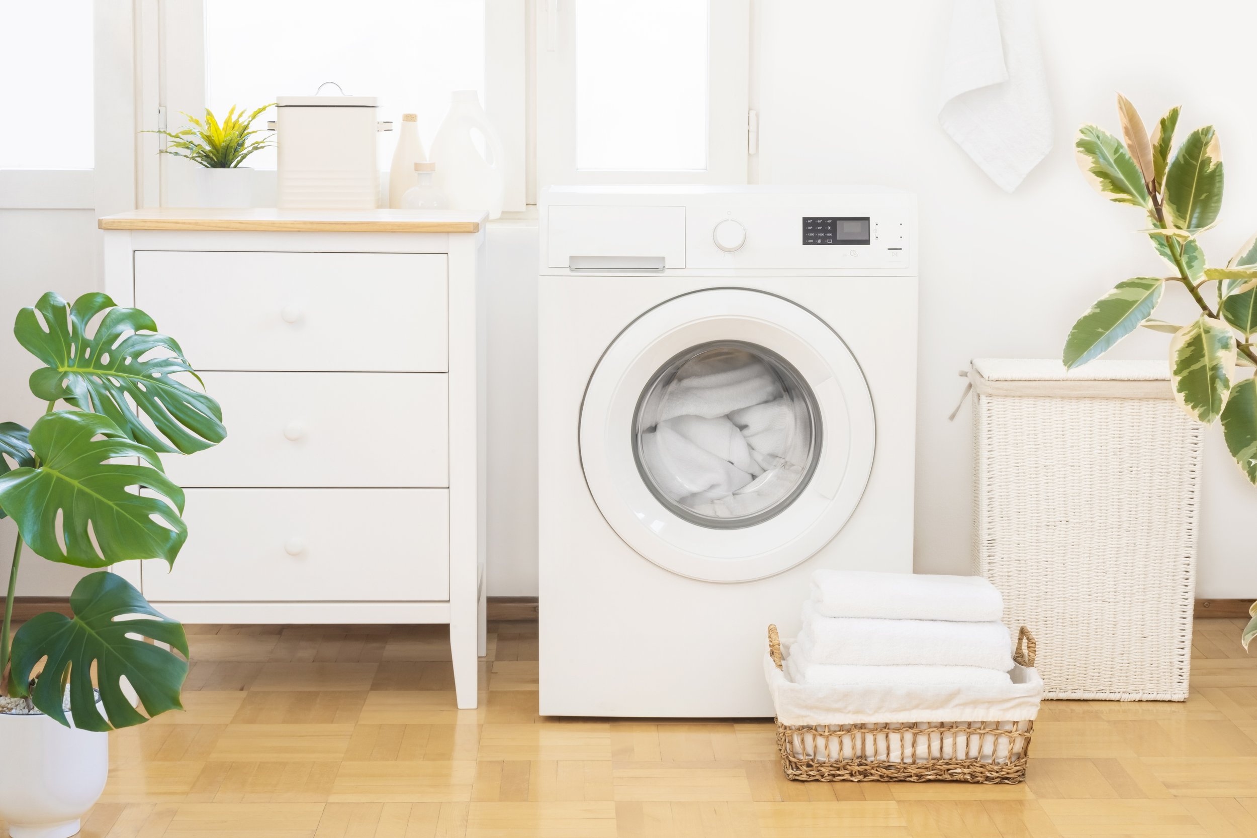 Laundry and Light Cleaning
