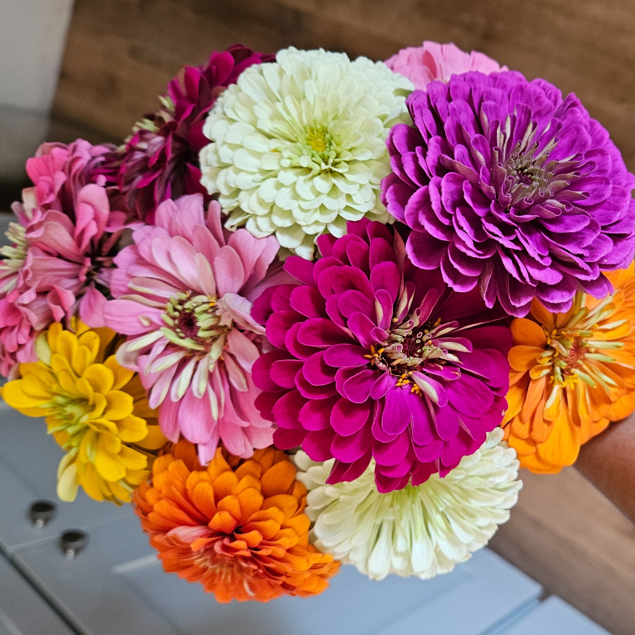 A colorful bouquet of various flowers including zinnias in shades of pink, purple, yellow, orange, and white.